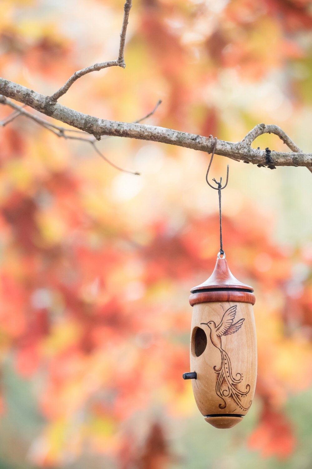 Hummingbird House, Handmade Wooden Birdhouse for Indoor/Outdoor Use, Ambrosia Maple Artisan Bird Lovers Gift, Christmas Gift for Everyone