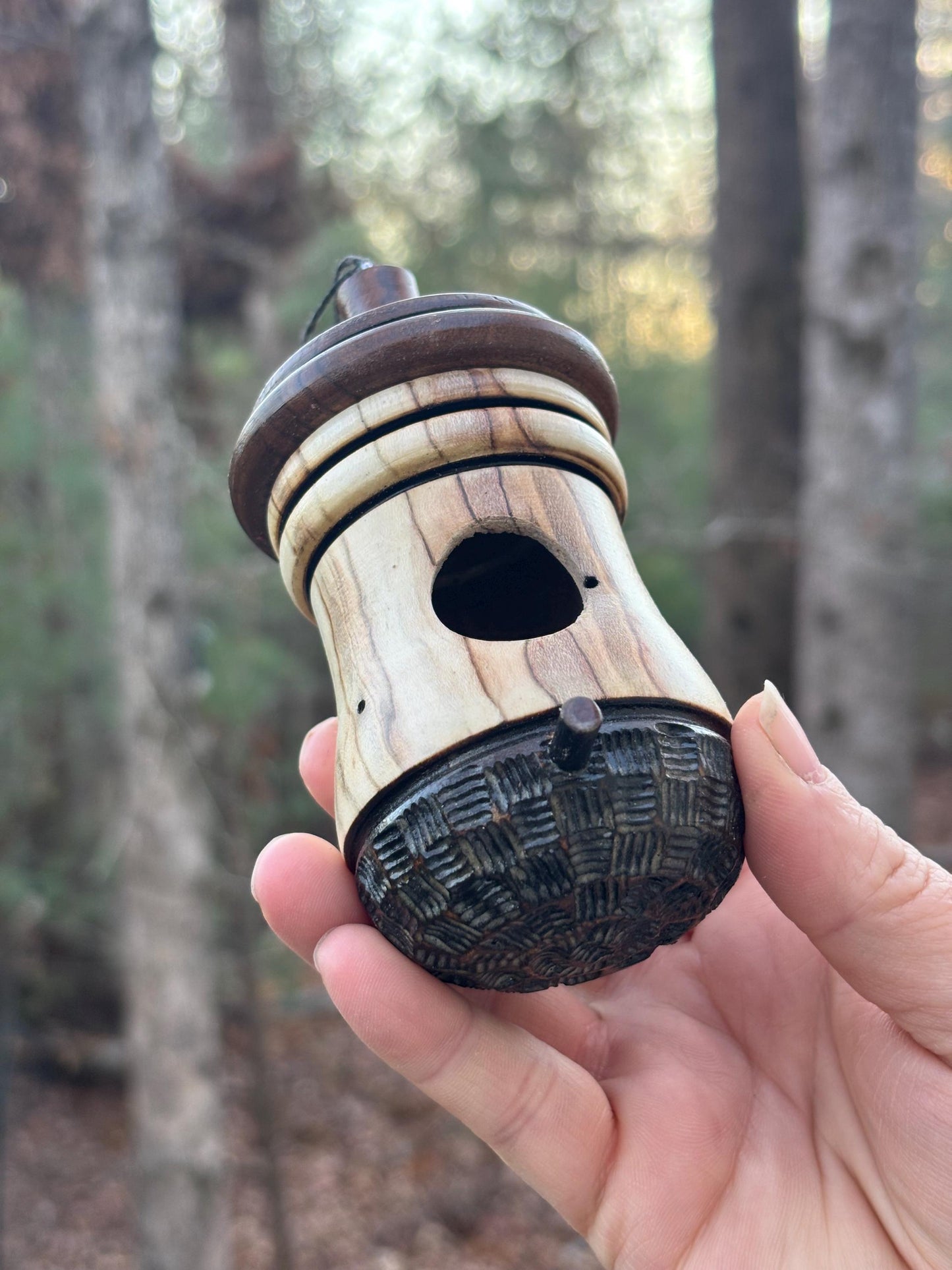 Unique Hummingbird Birdhouse, Handmade from Ambrosia Maple, Small Bird Nester, For Indoor or Outdoor Use, Perfect Christmas Gift for Birders