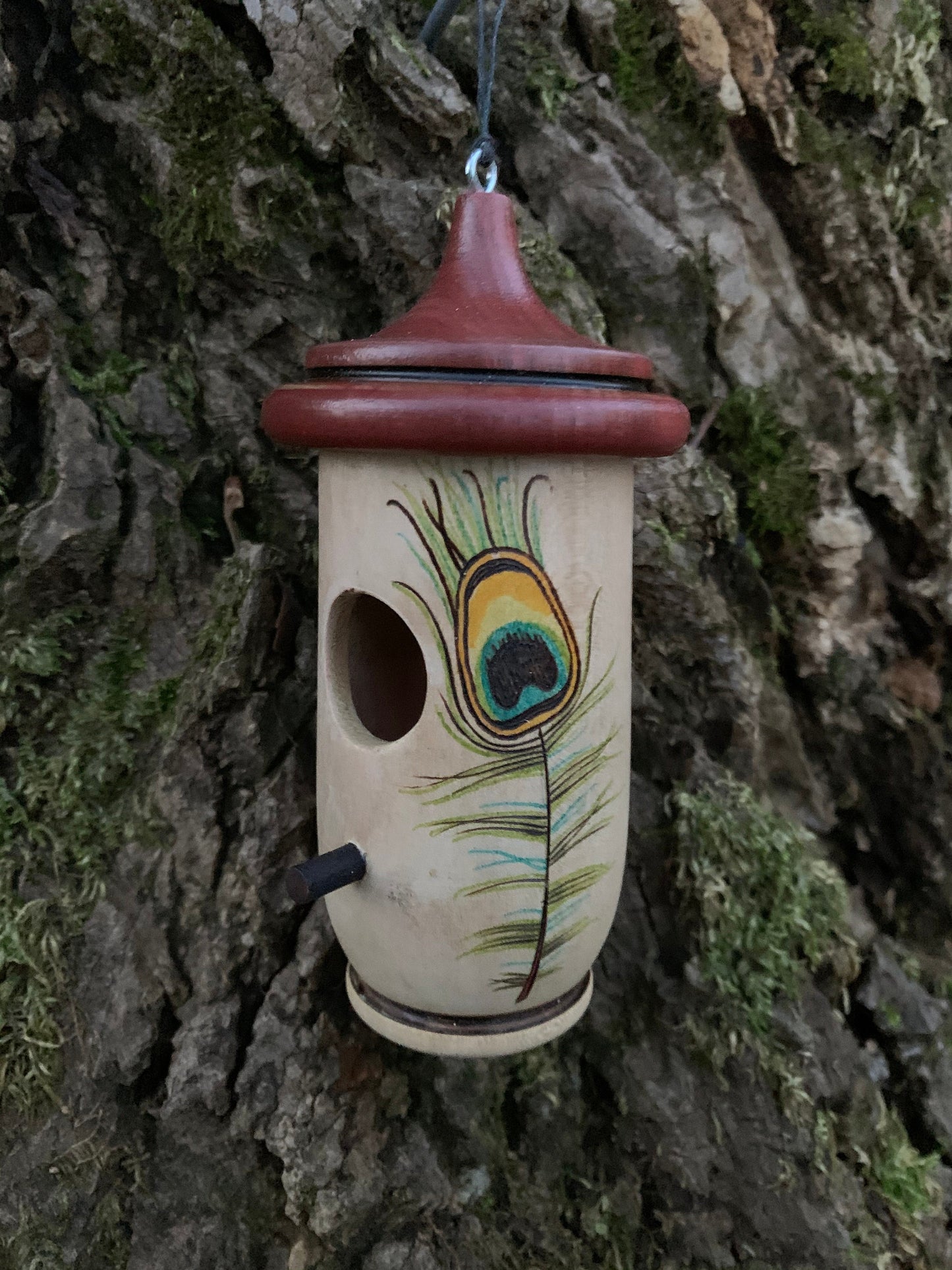Hummingbird House, Handmade Wooden Birdhouse for Indoor/Outdoor Use, Peacock Art, Bird Lovers Gift, Christmas Gift for Teacher
