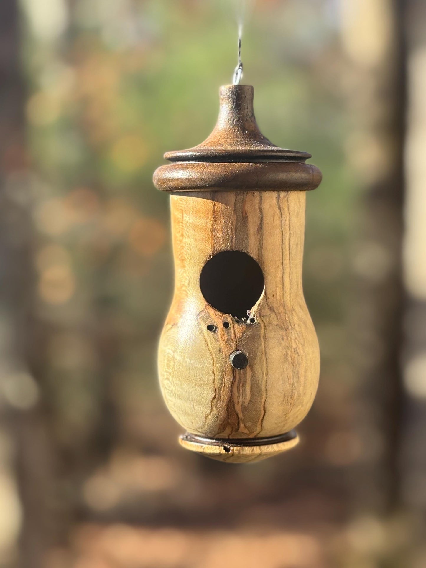 Ambrosia Maple Hummingbird Birdhouse, One of a Kind Gift for bird Lovers, Rustic Indoor/Outdoor Garden Decor