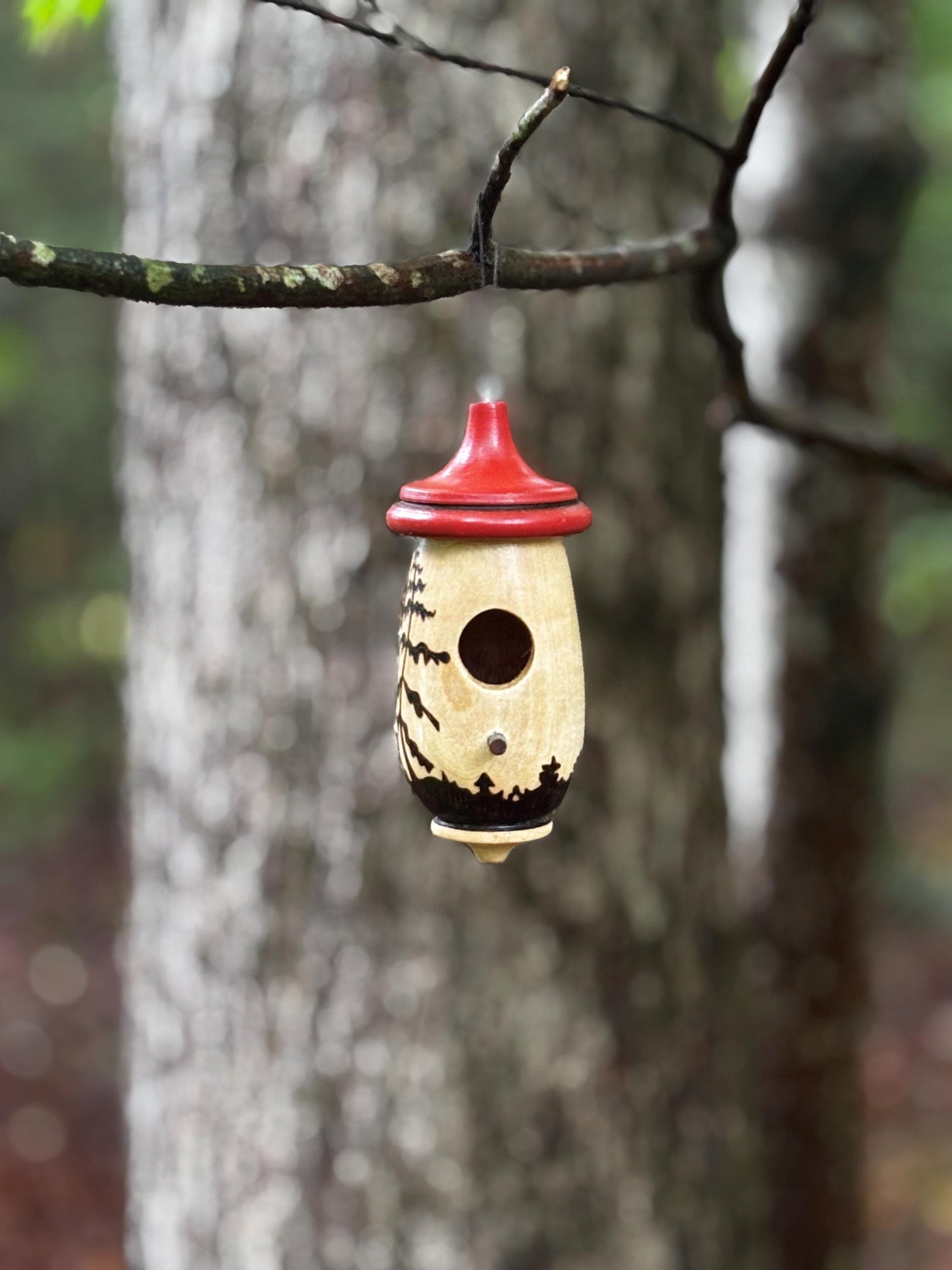 Hummingbird House, Handmade Wooden Birdhouse for Indoor/Outdoor Use, Tree Art, Bird Lovers Gift, Christmas Gift for Nature Bird Lovers