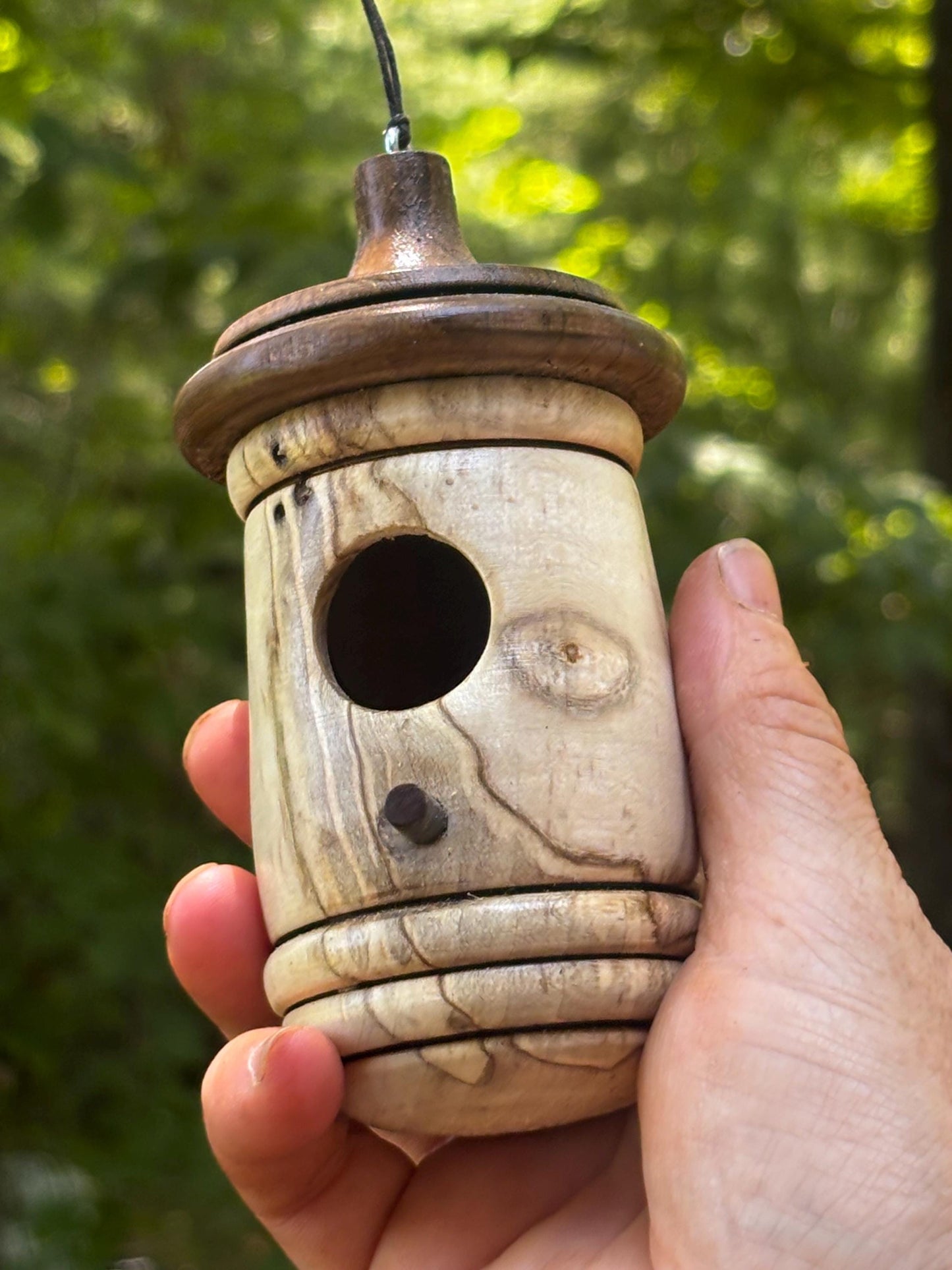 Ambrosia Maple Handmade Hummingbird Birdhouse, One of a Kind Gift for bird Lovers, Rustic Indoor/Outdoor Garden Decor