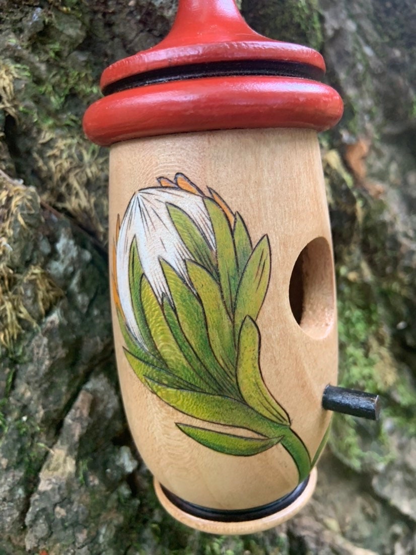 Hummingbird Bird House, Protea African Flower Art, Handmade Wooden Birdhouse for Indoor/Outdoor Garden Use, Gift for Traveler, Bird Lovers