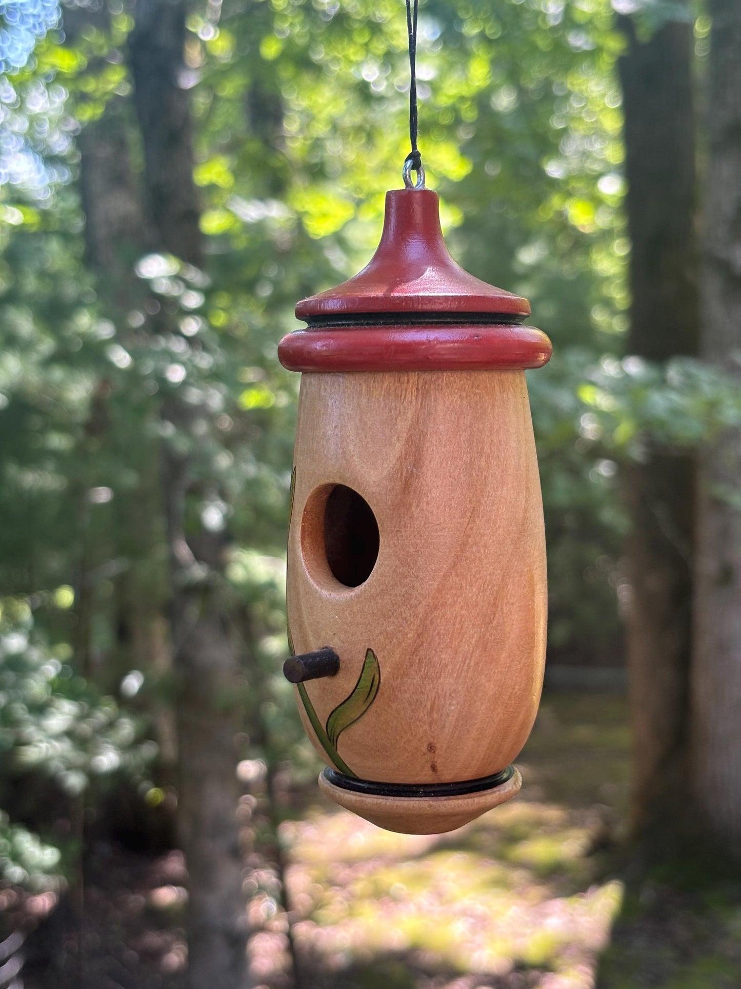 Hummingbird Bird House, Protea African Flower Art, Handmade Wooden Birdhouse for Indoor/Outdoor Garden Use, Gift for Traveler, Bird Lovers