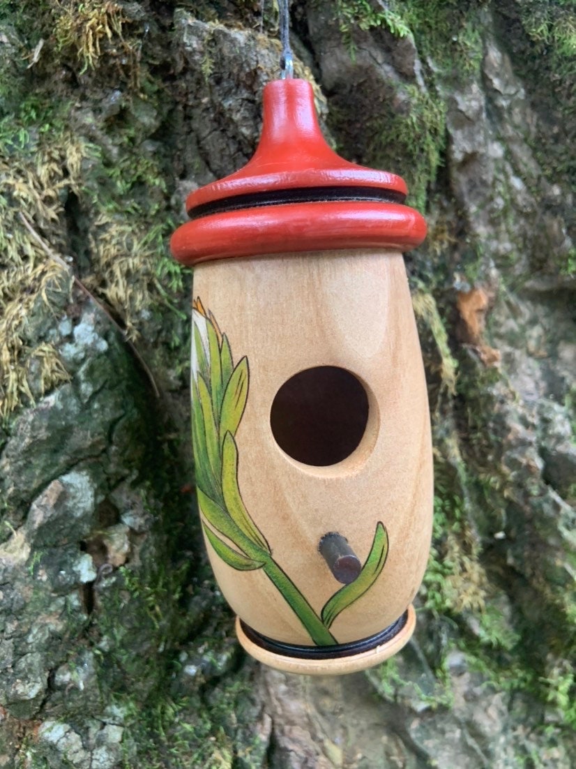 Hummingbird Bird House, Protea African Flower Art, Handmade Wooden Birdhouse for Indoor/Outdoor Garden Use, Gift for Traveler, Bird Lovers