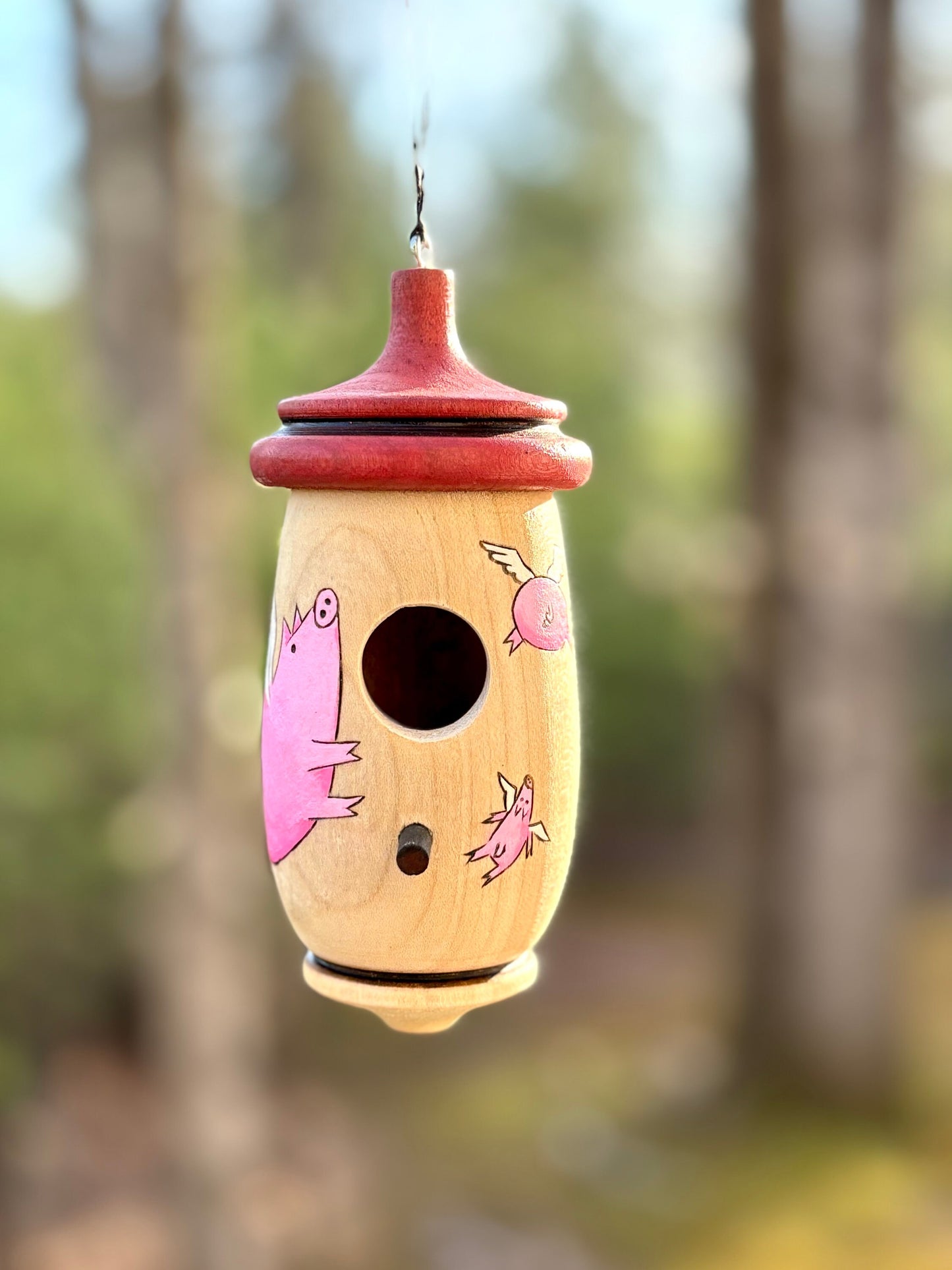 Hummingbird House, Flying Pig Art, Handmade Wooden Birdhouse for Indoor/Outdoor Use, Bird Lovers Gift, Christmas Gift for Pig Lovers