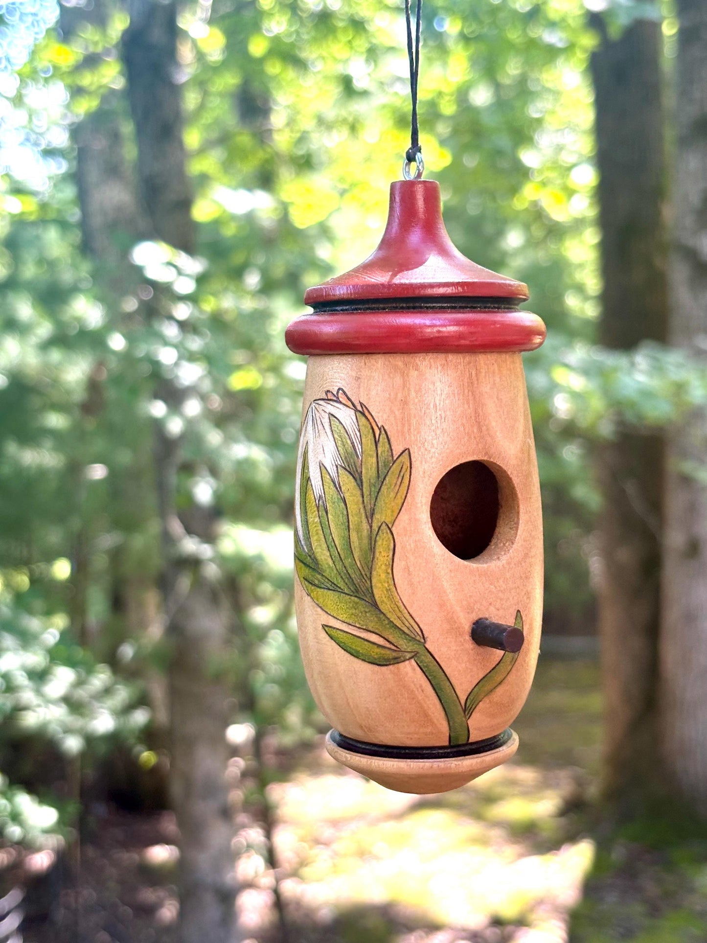 Hummingbird Bird House, Protea African Flower Art, Handmade Wooden Birdhouse for Indoor/Outdoor Garden Use, Gift for Traveler, Bird Lovers