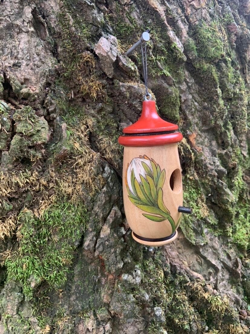 Hummingbird Bird House, Protea African Flower Art, Handmade Wooden Birdhouse for Indoor/Outdoor Garden Use, Gift for Traveler, Bird Lovers