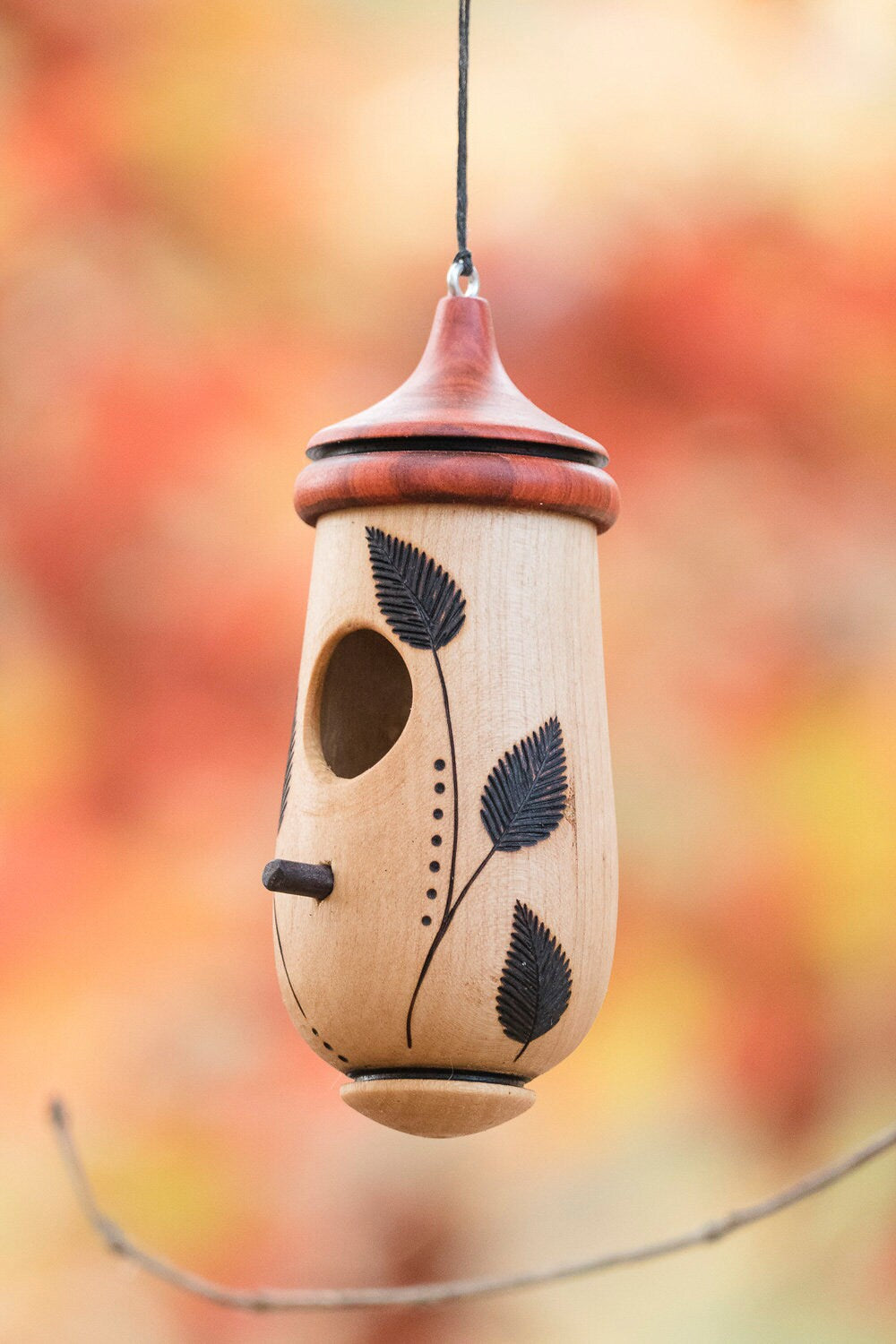 Hummingbird House, Leaves and Grass Art, Handmade Wooden Birdhouse for Indoor/Outdoor Use,  Bird Lovers Gift