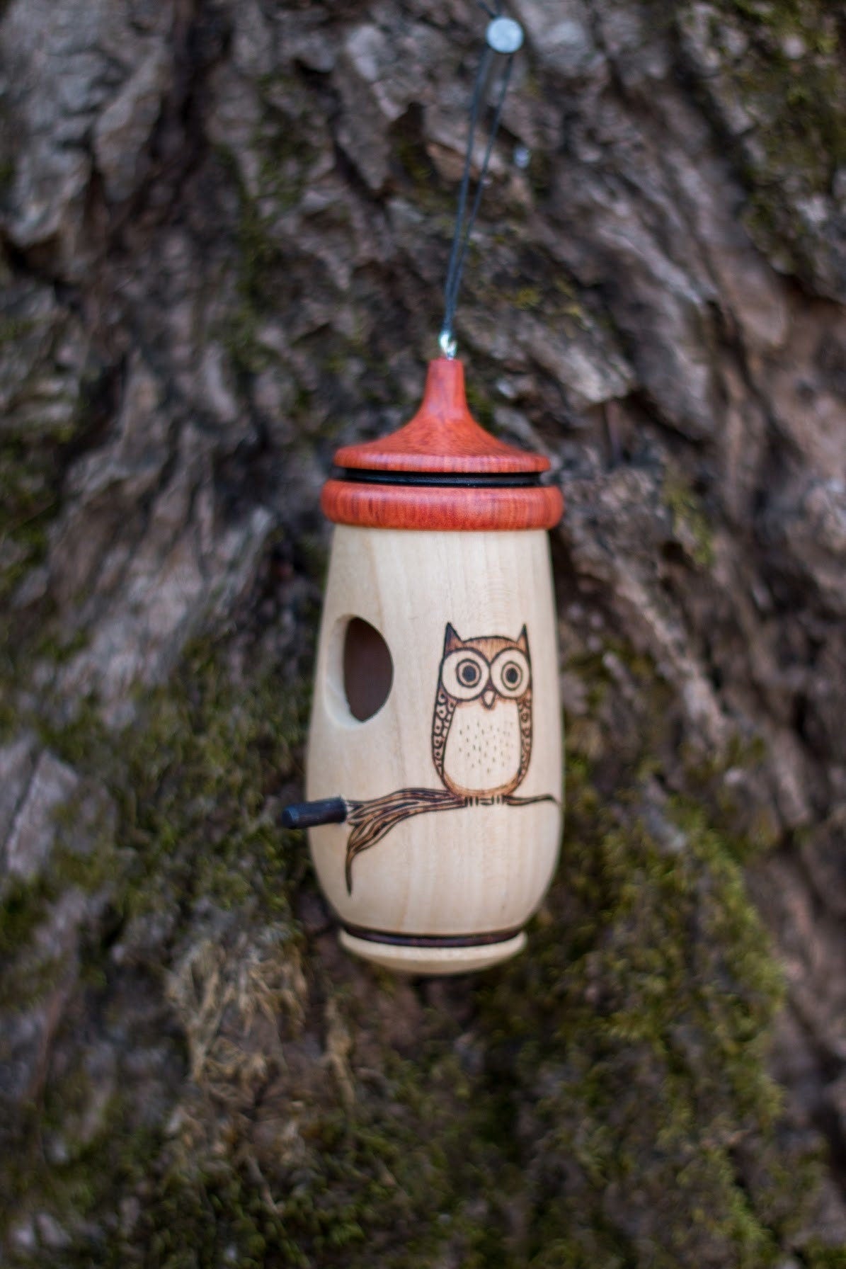 Handmade Cherry Wood Hummingbird Birdhouse: Owl Art, Bird Lover Gift