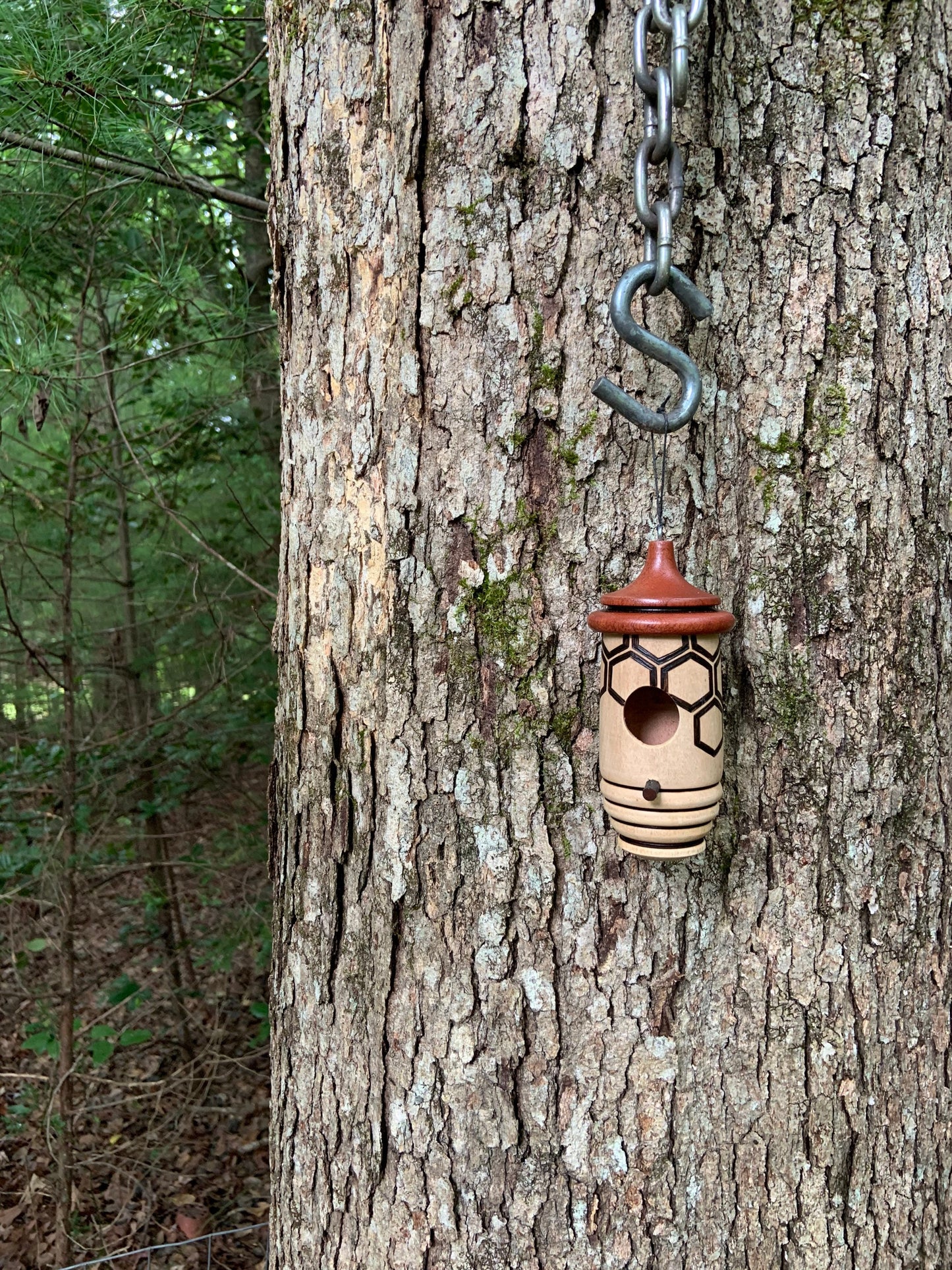 Handmade Cherry Wood Hummingbird House, Honeycomb Bee Art, Wood Burned