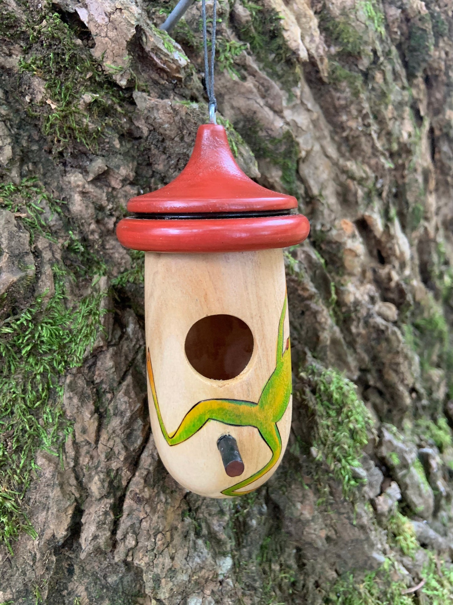 Hummingbird House, Tree Frog or Poison Dart Frog, Handmade Wooden Birdhouse for Indoor/Outdoor, Bird Lovers Gift, Unique Christmas Gift