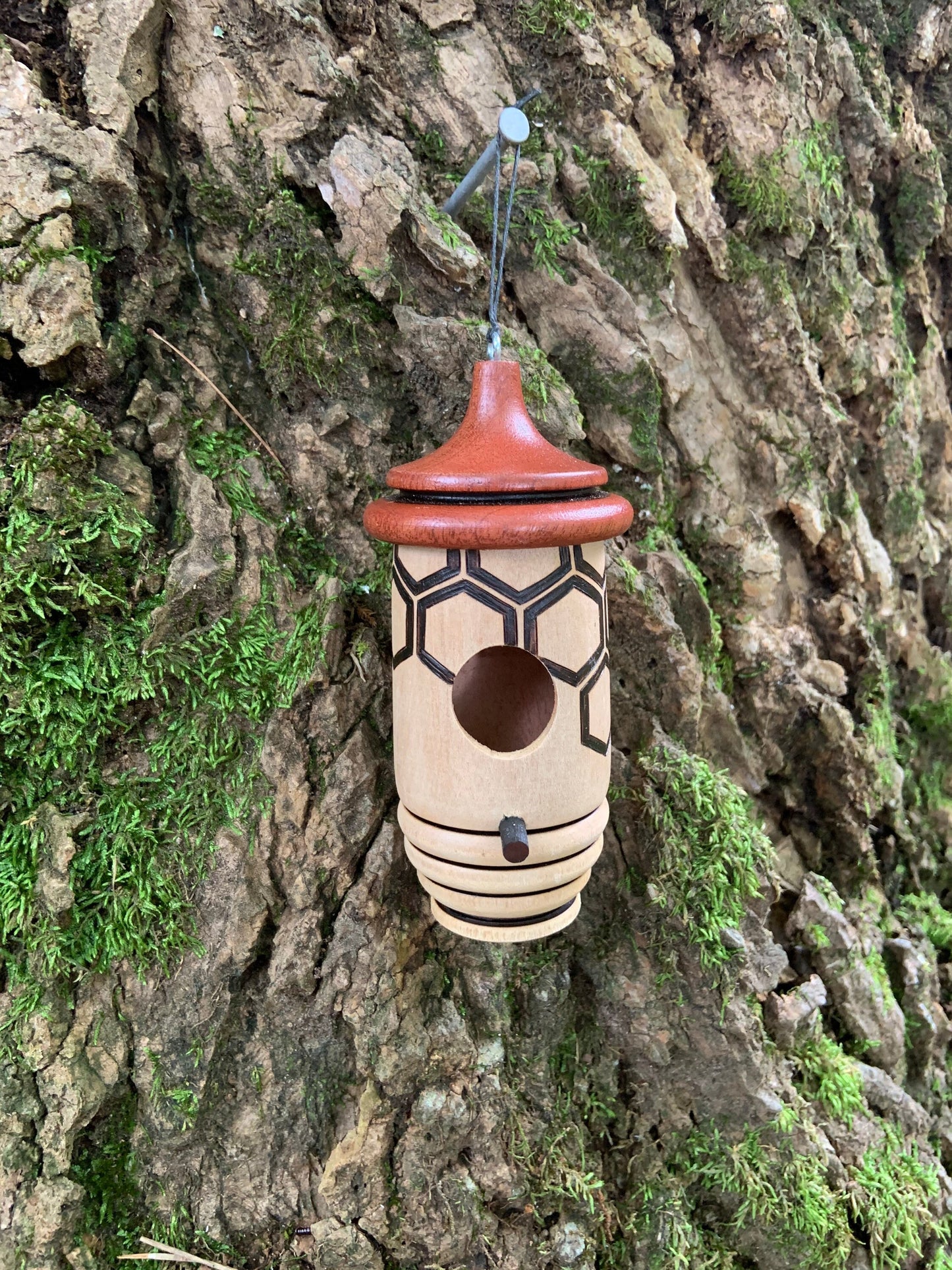 Handmade Cherry Wood Hummingbird House, Honeycomb Bee Art, Wood Burned