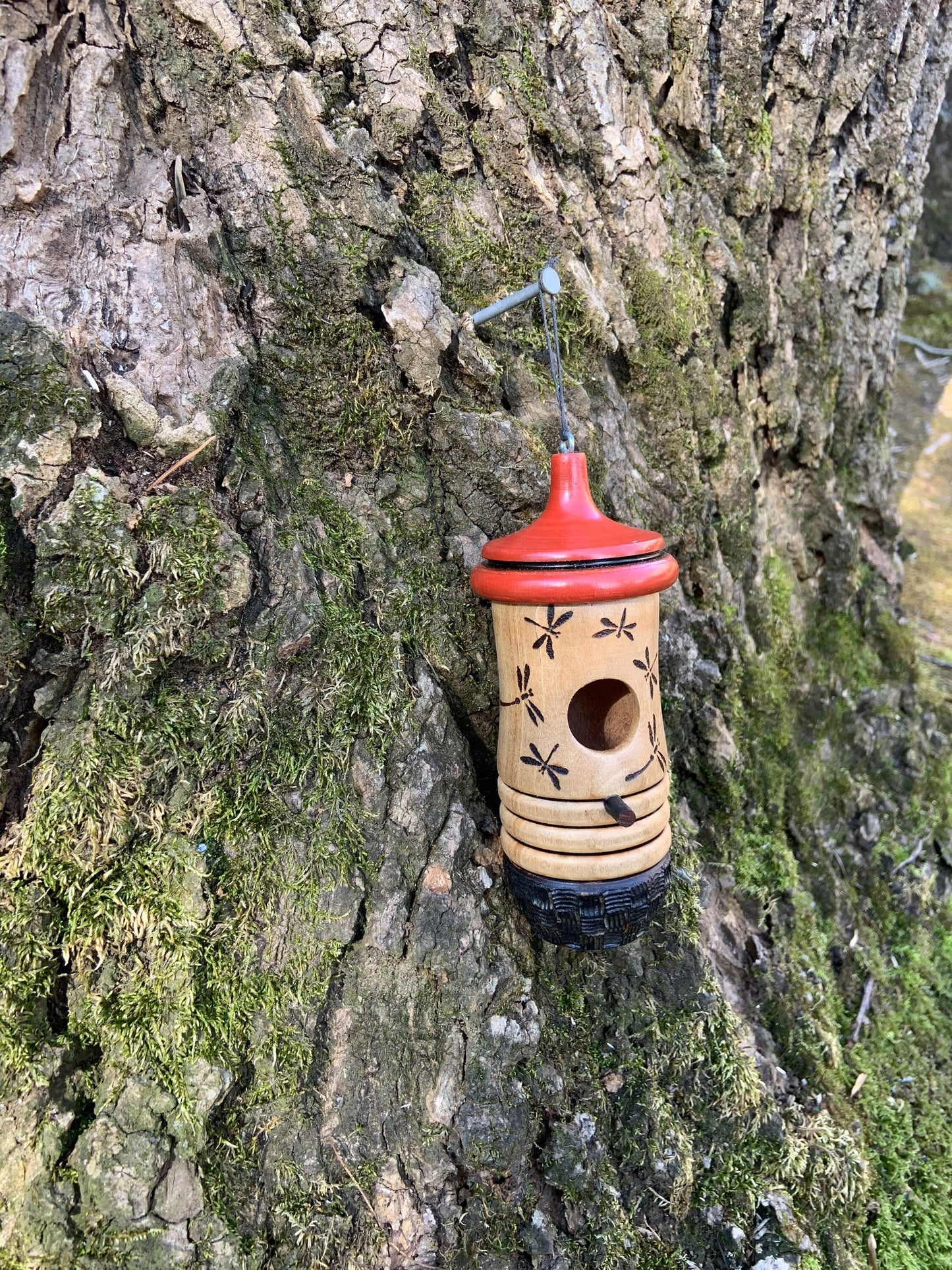 Dragonfly Lantern Hummingbird House, Birdhouse, Nester