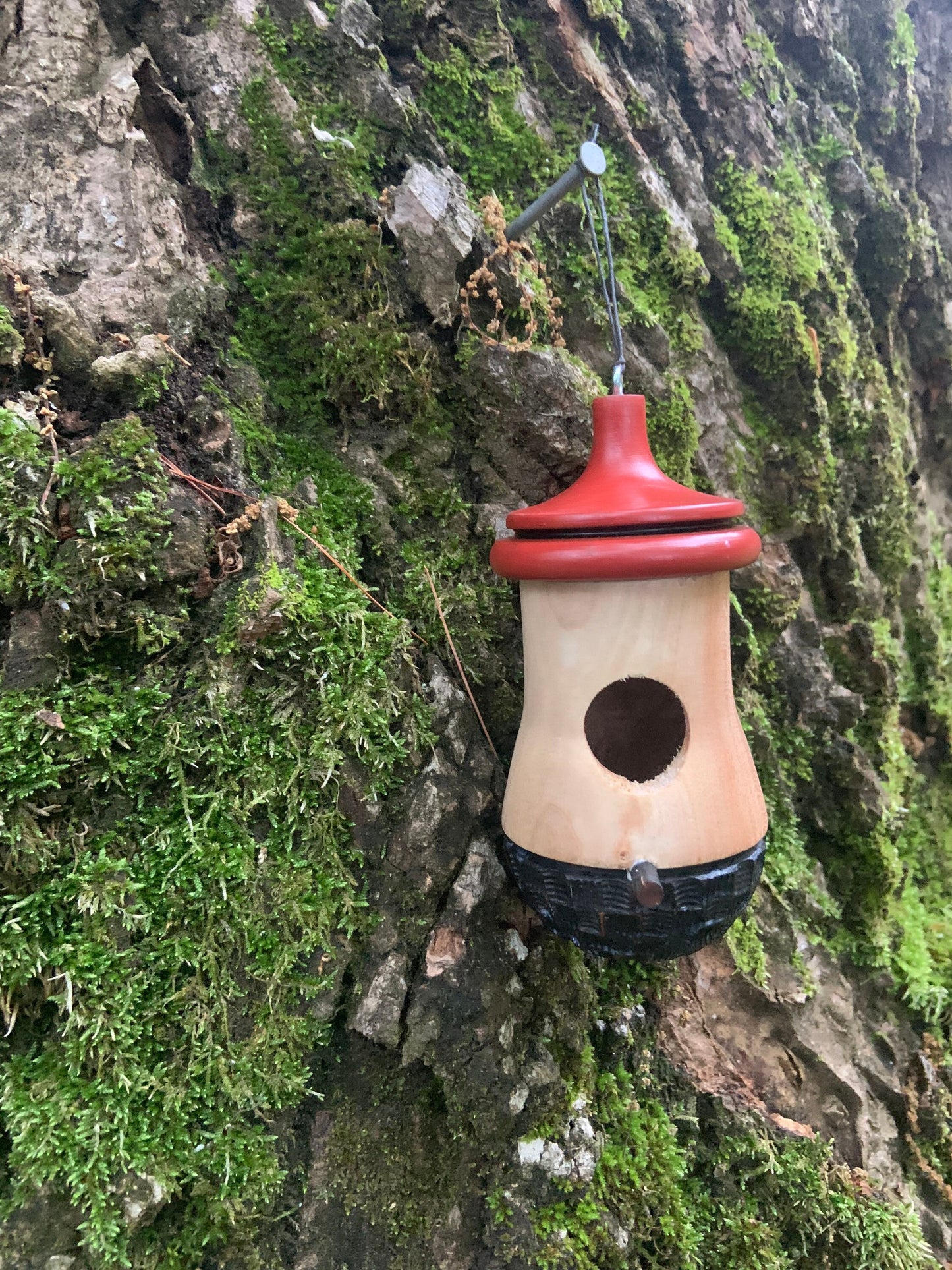 Handmade Cherry Wood Hummingbird House: Wood-Burned Ikebana Art