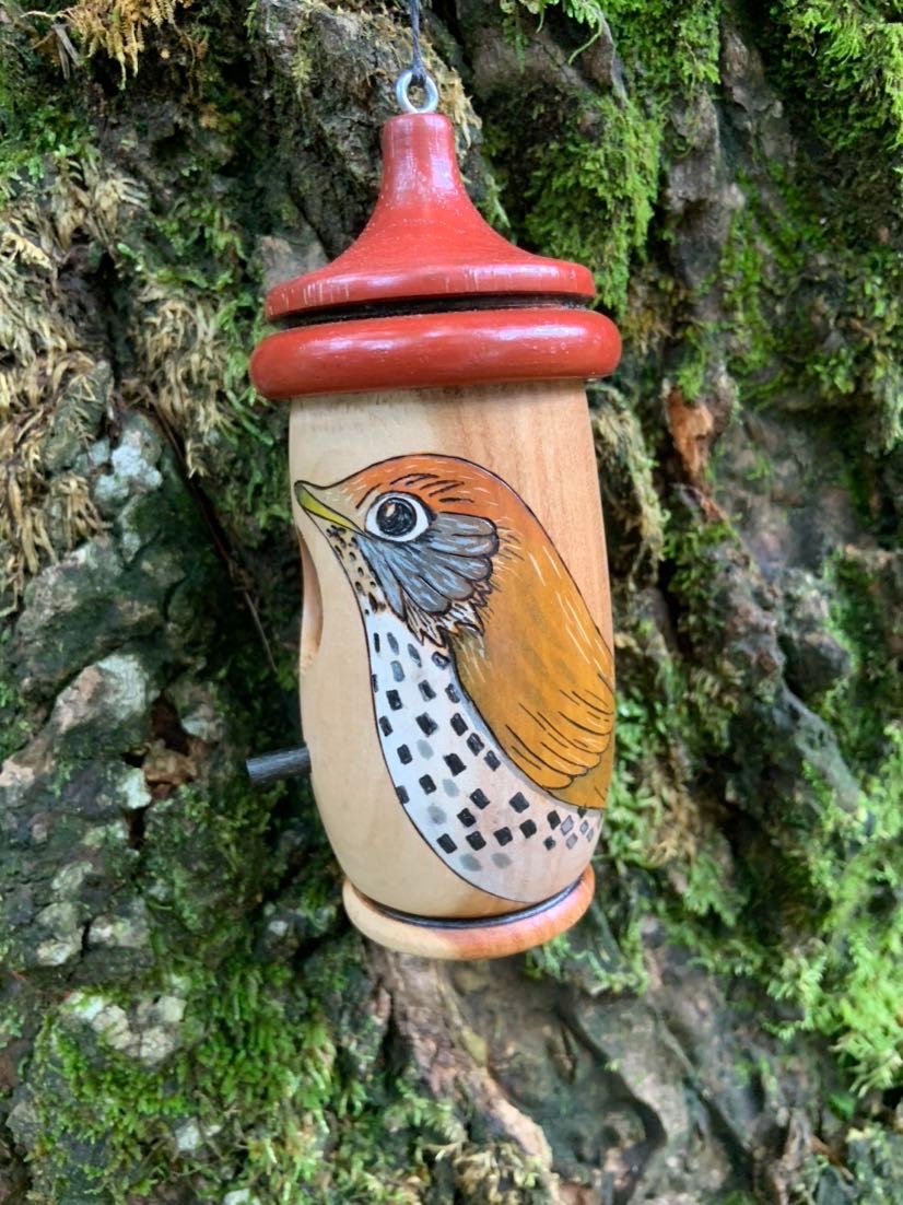 Handmade Wood Thrush Hummingbird Birdhouse: Wood-Burned Cherry Wood Nester