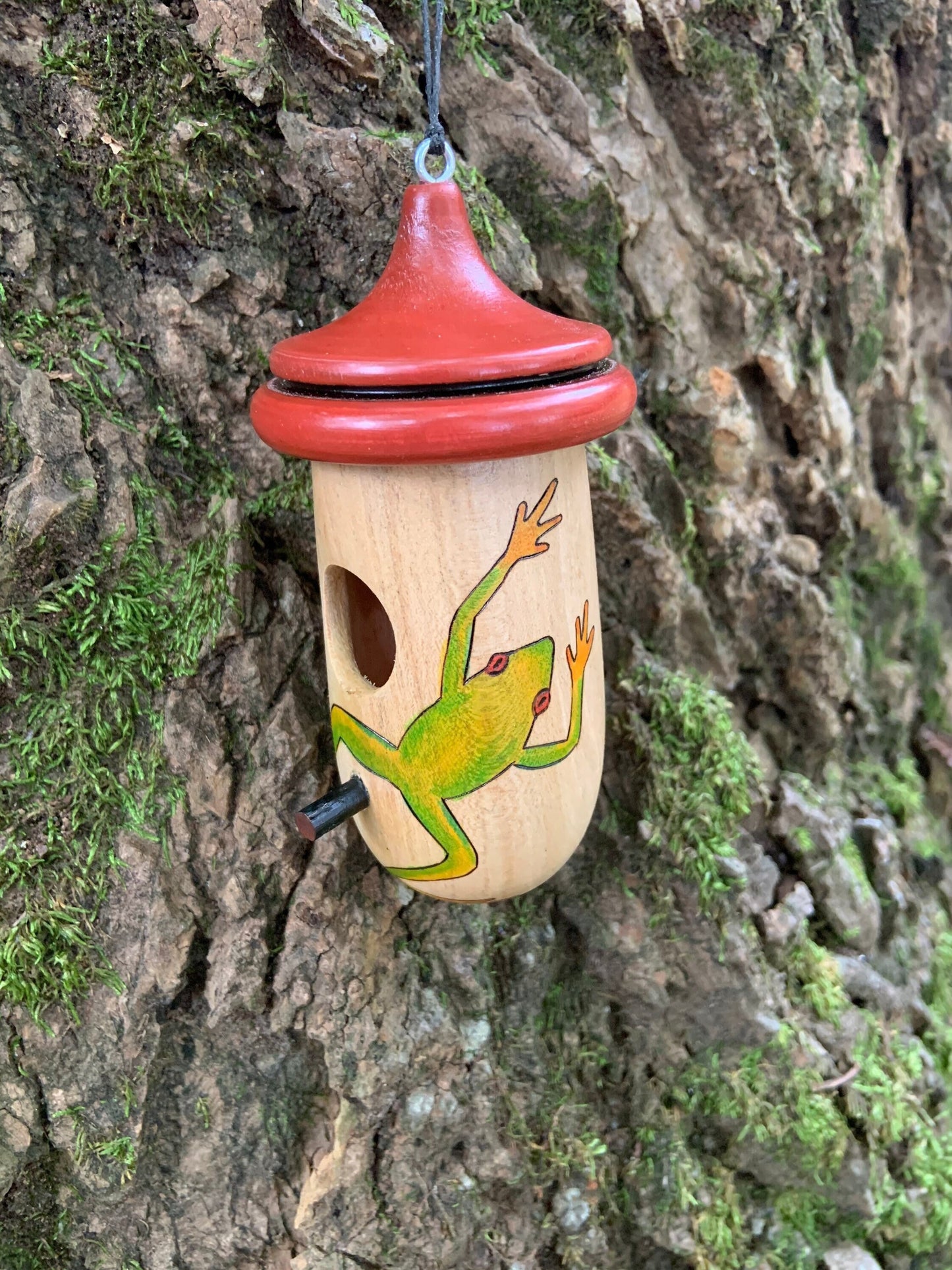 Hummingbird House, Tree Frog or Poison Dart Frog, Handmade Wooden Birdhouse for Indoor/Outdoor, Bird Lovers Gift, Unique Christmas Gift