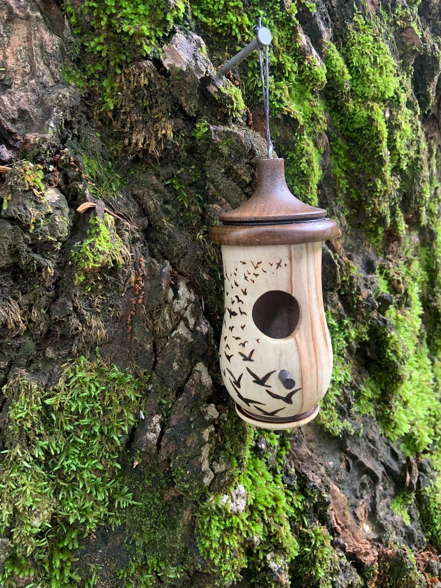 Handmade Cherry Wood Hummingbird House with Wood Burned Bird Art