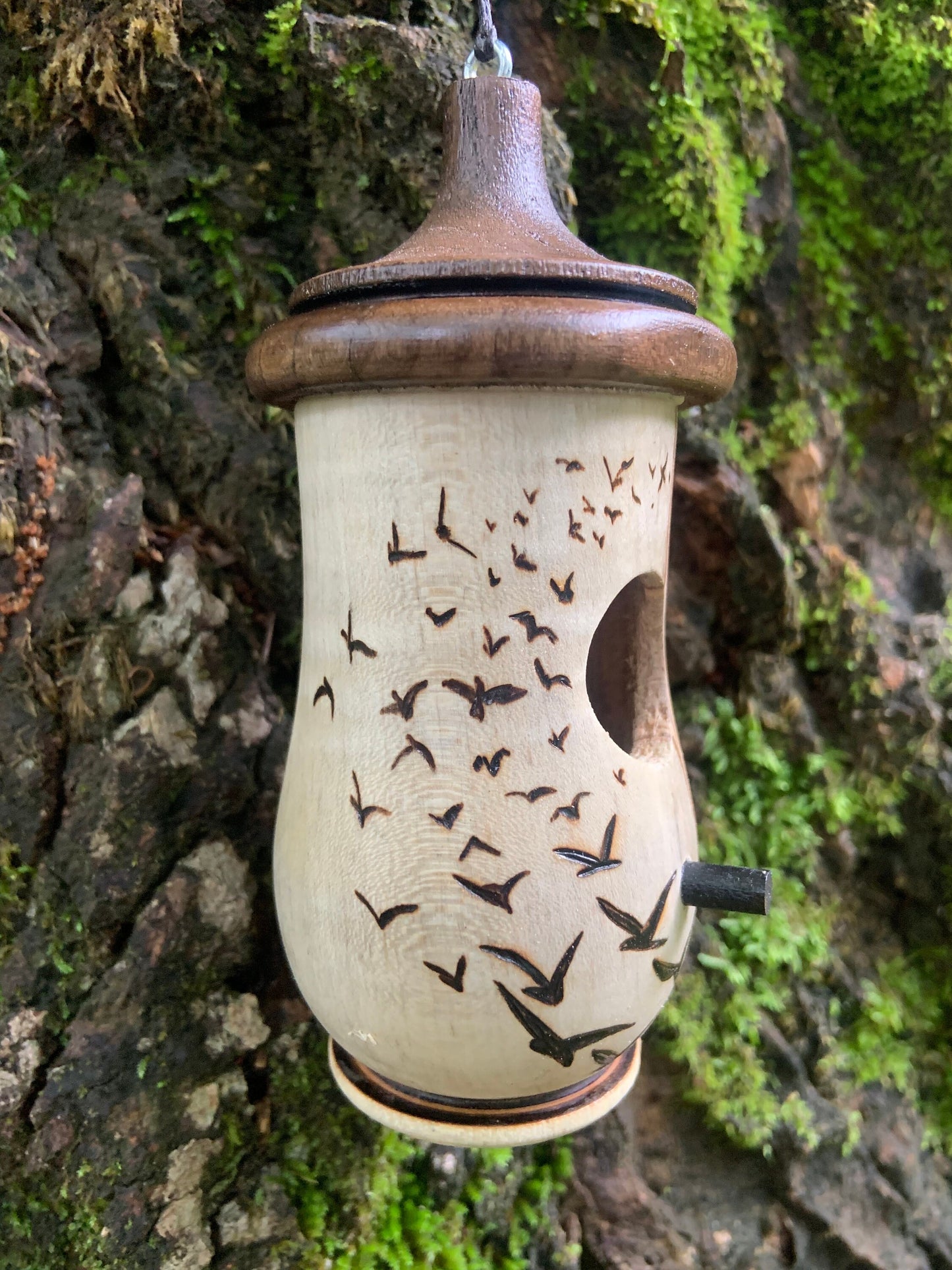 Handmade Cherry Wood Hummingbird House with Wood Burned Bird Art