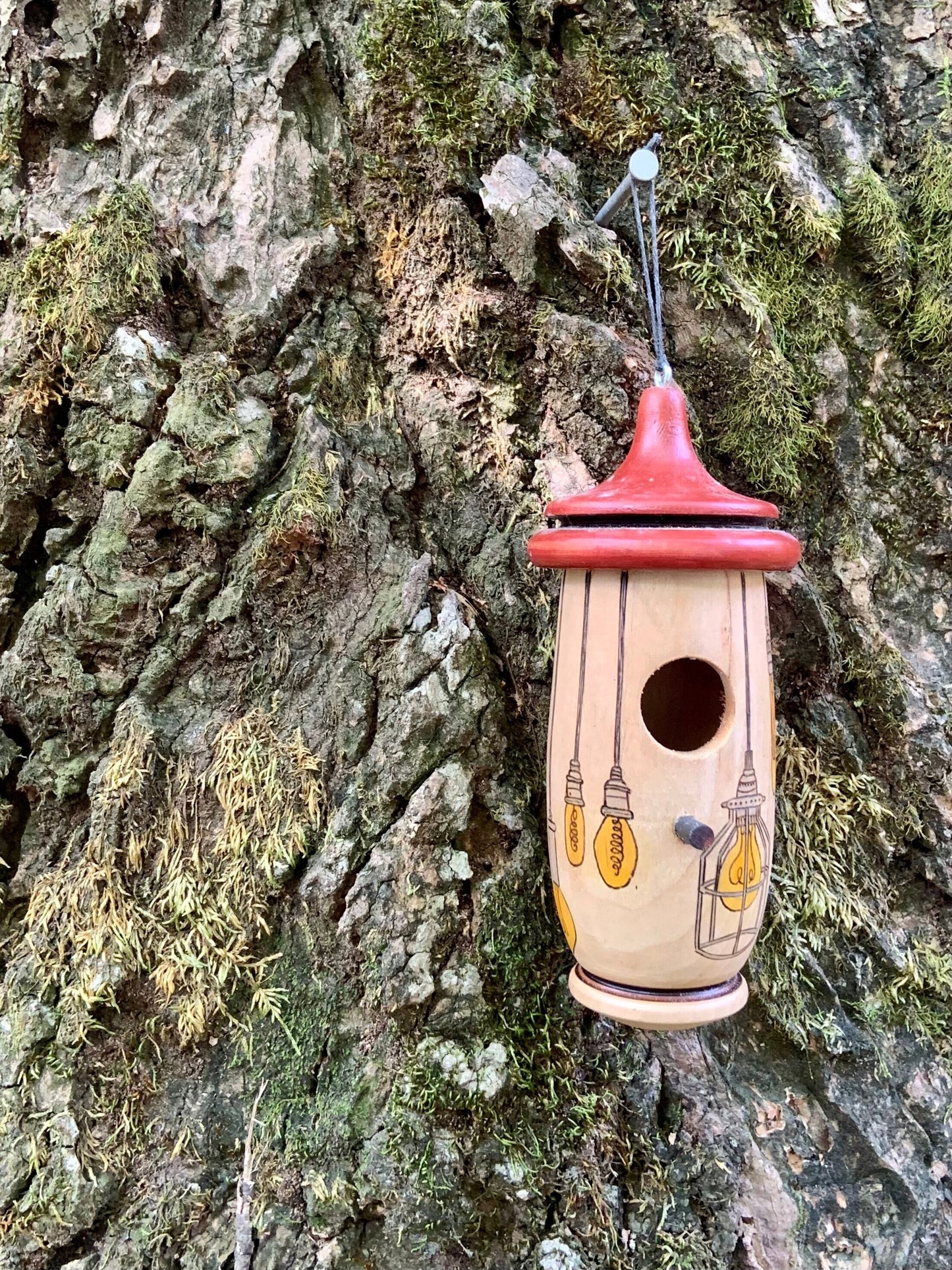 Handmade Wooden Hummingbird House: Lightbulb Art Birdhouse