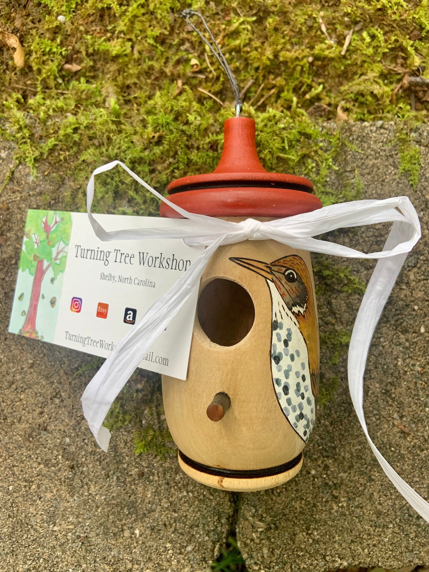 Handmade Wood Thrush Hummingbird Birdhouse: Wood-Burned Cherry Wood Nester