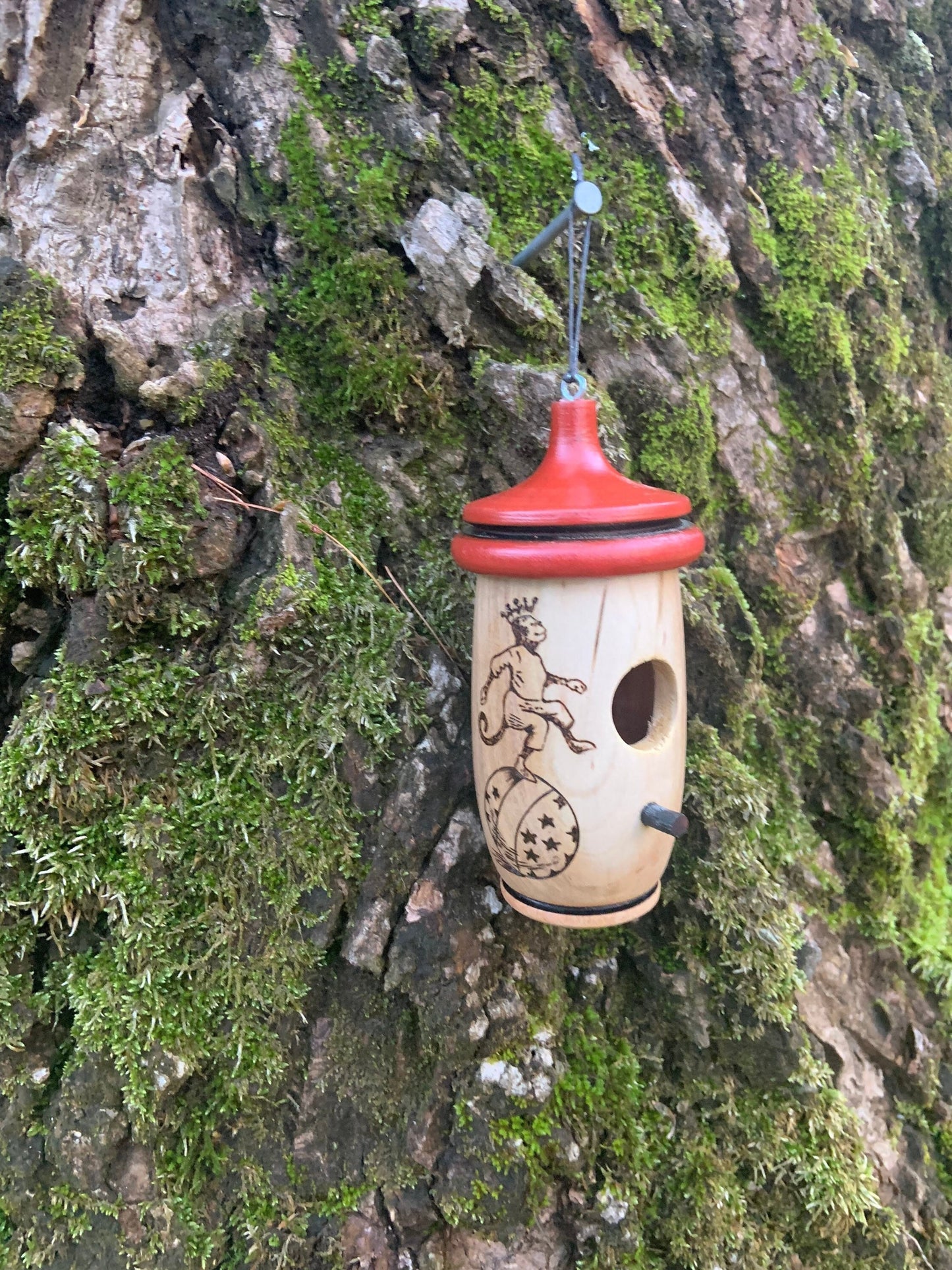 Handmade Hummingbird Bird House: Wood-Burned Circus Monkey Art
