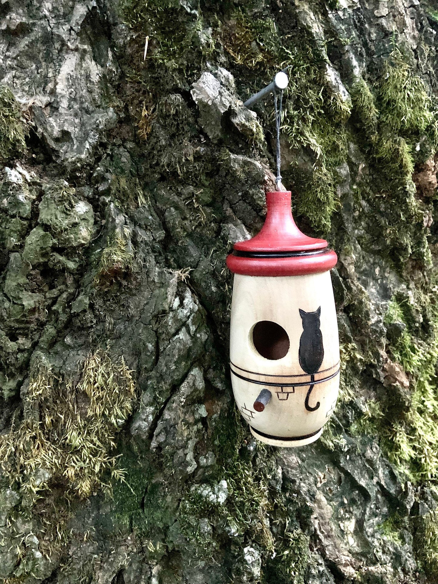 Hummingbird House, Le Cat, Handmade Wooden Birdhouse for Indoor/Outdoor Use, Cat Art, Bird Lovers Gift