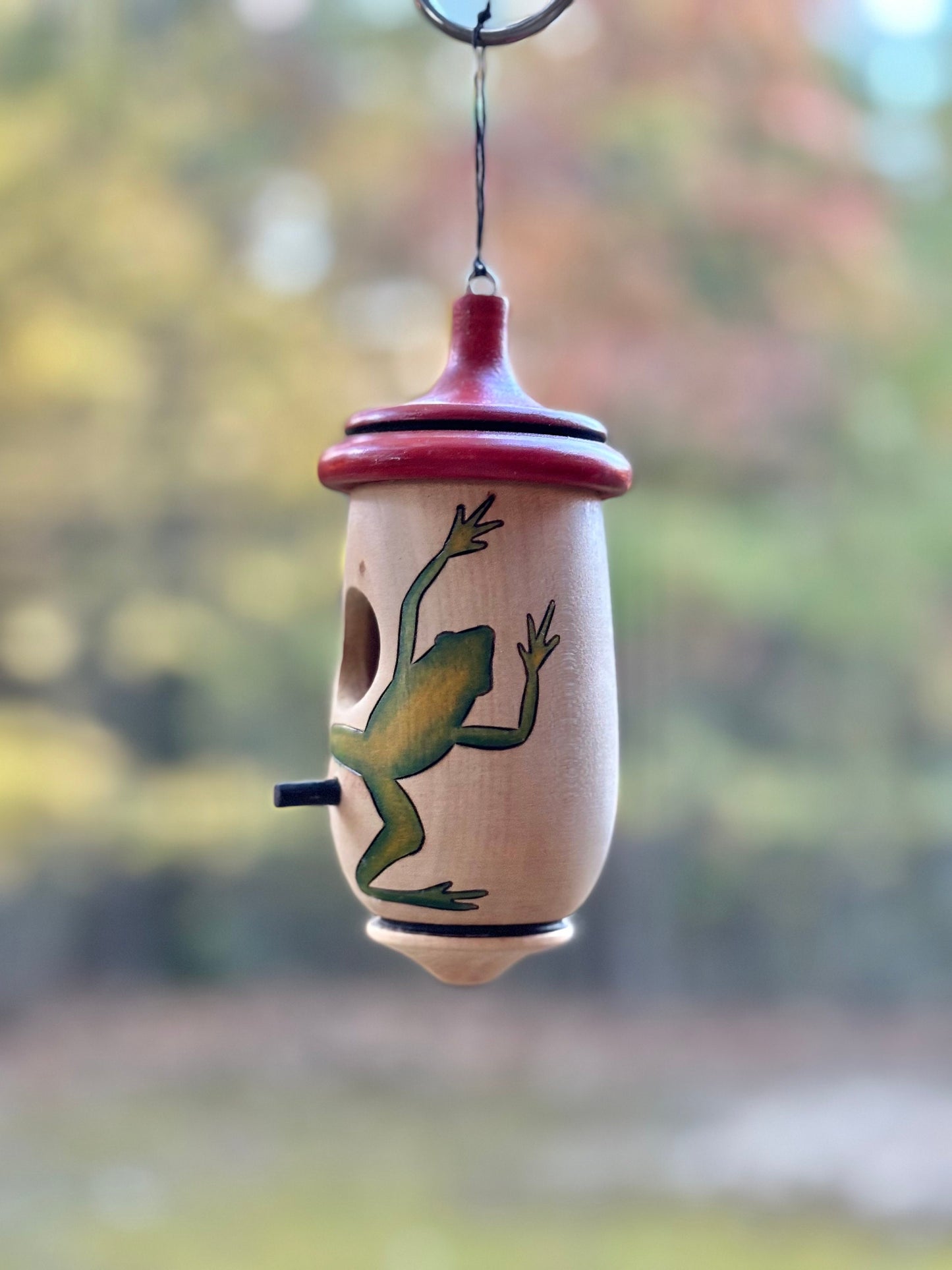 Hummingbird House, Tree Frog or Poison Dart Frog, Handmade Wooden Birdhouse for Indoor/Outdoor, Bird Lovers Gift, Unique Christmas Gift