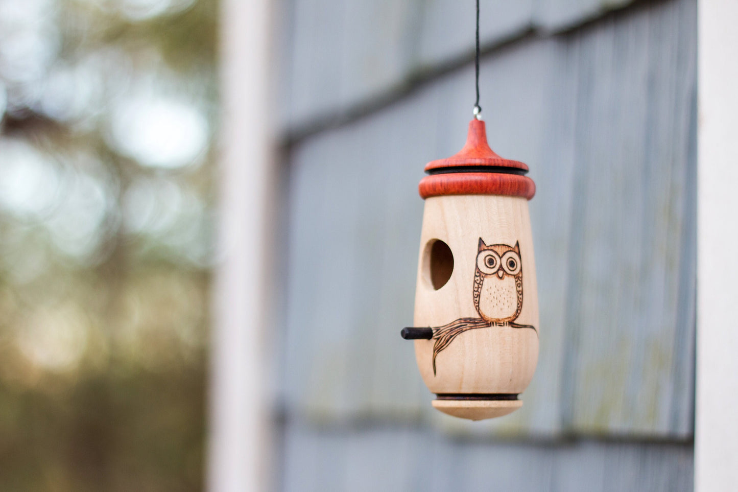 Handmade Cherry Wood Hummingbird Birdhouse: Owl Art, Bird Lover Gift