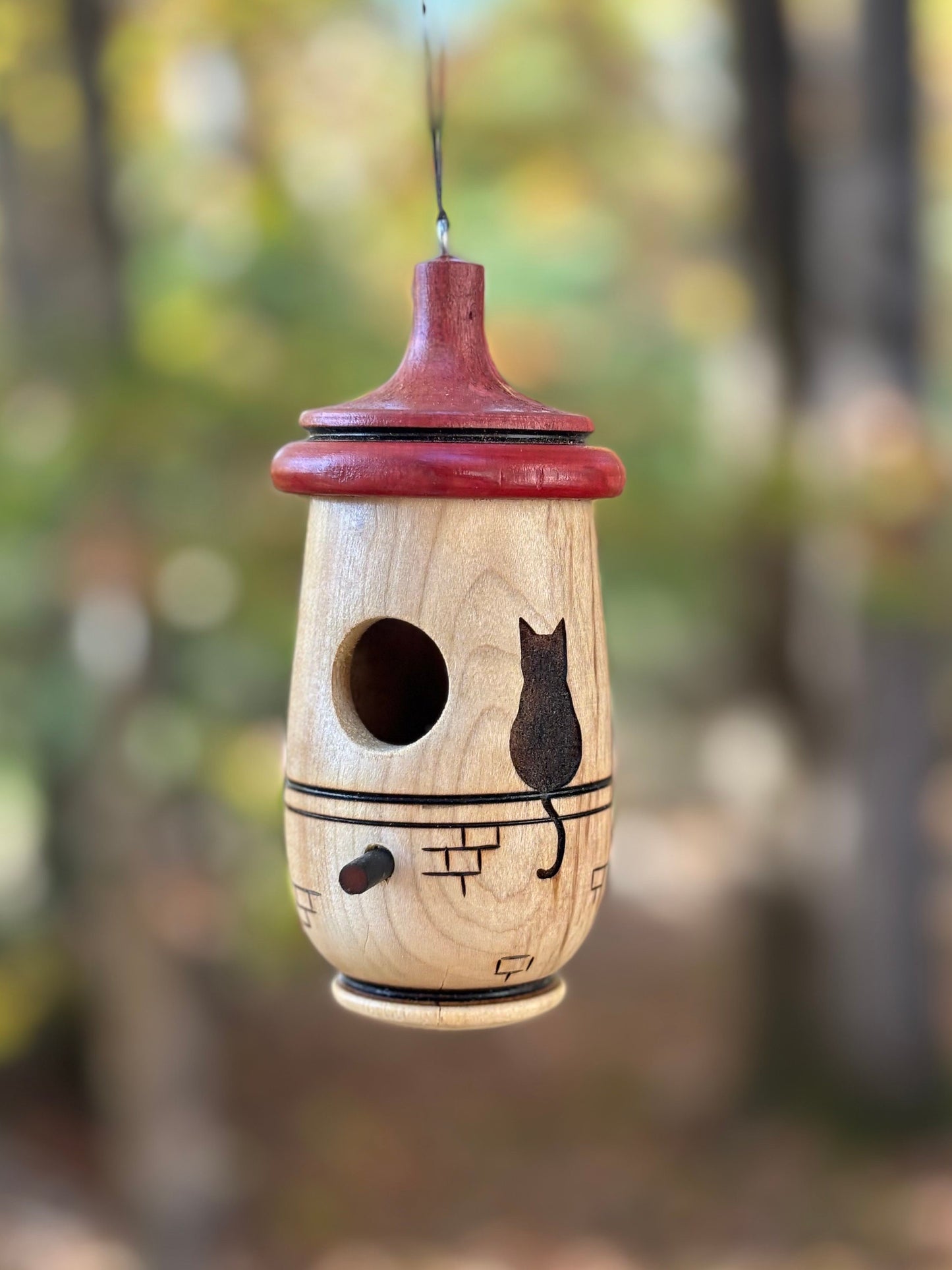 Hummingbird House, Le Cat, Handmade Wooden Birdhouse for Indoor/Outdoor Use, Cat Art, Bird Lovers Gift