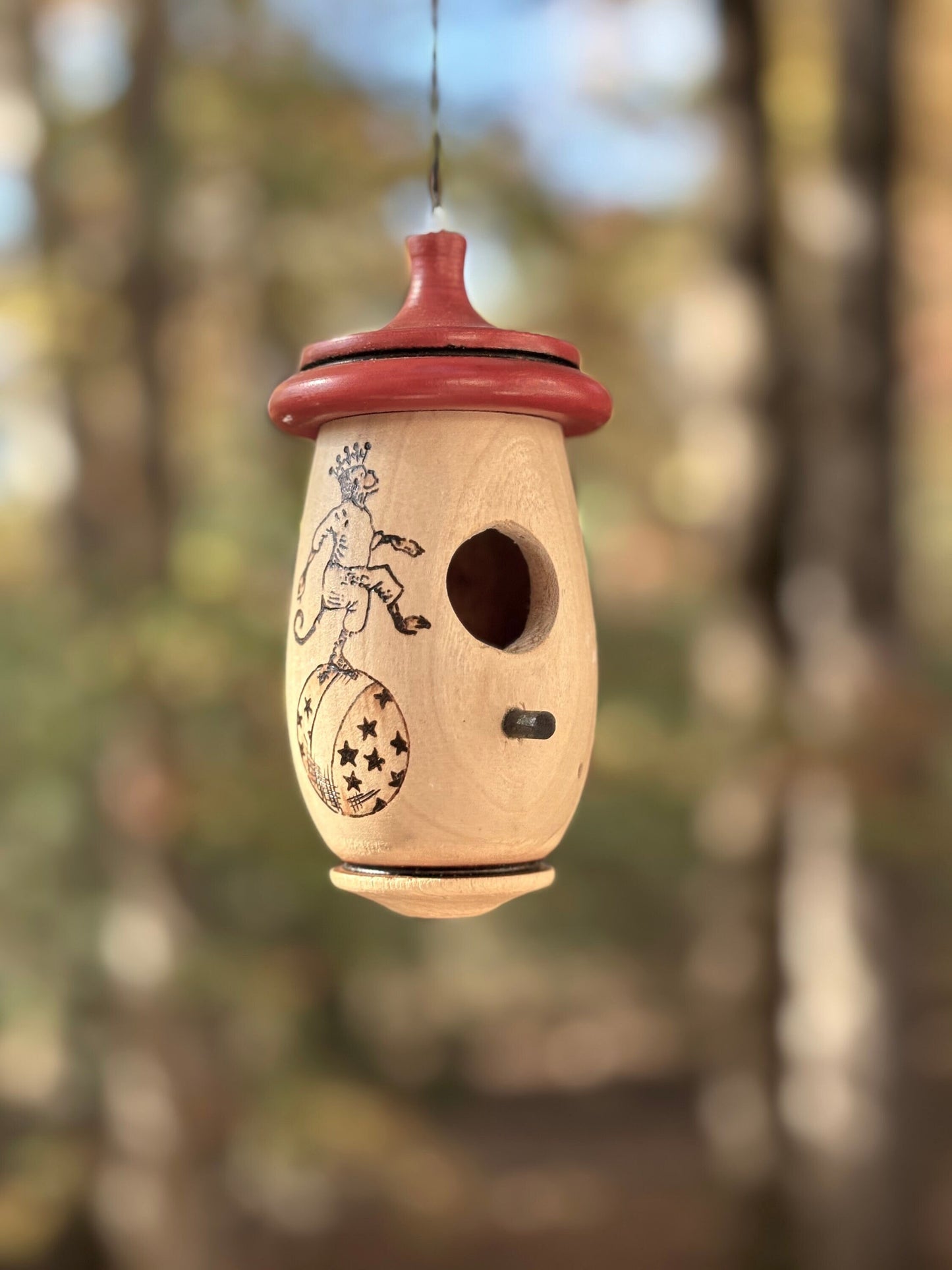 Handmade Hummingbird Bird House: Wood-Burned Circus Monkey Art