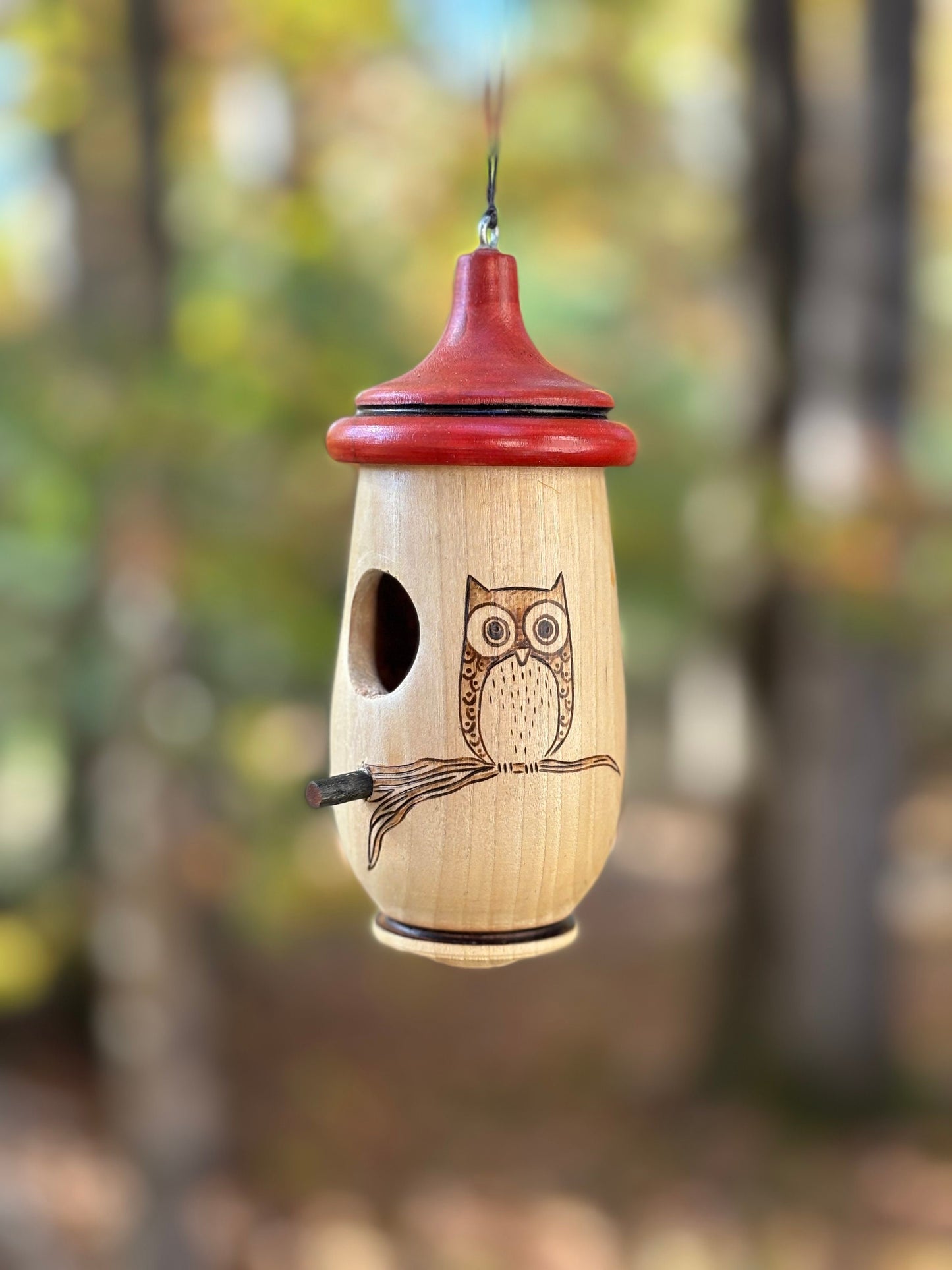 Handmade Cherry Wood Hummingbird Birdhouse: Owl Art, Bird Lover Gift