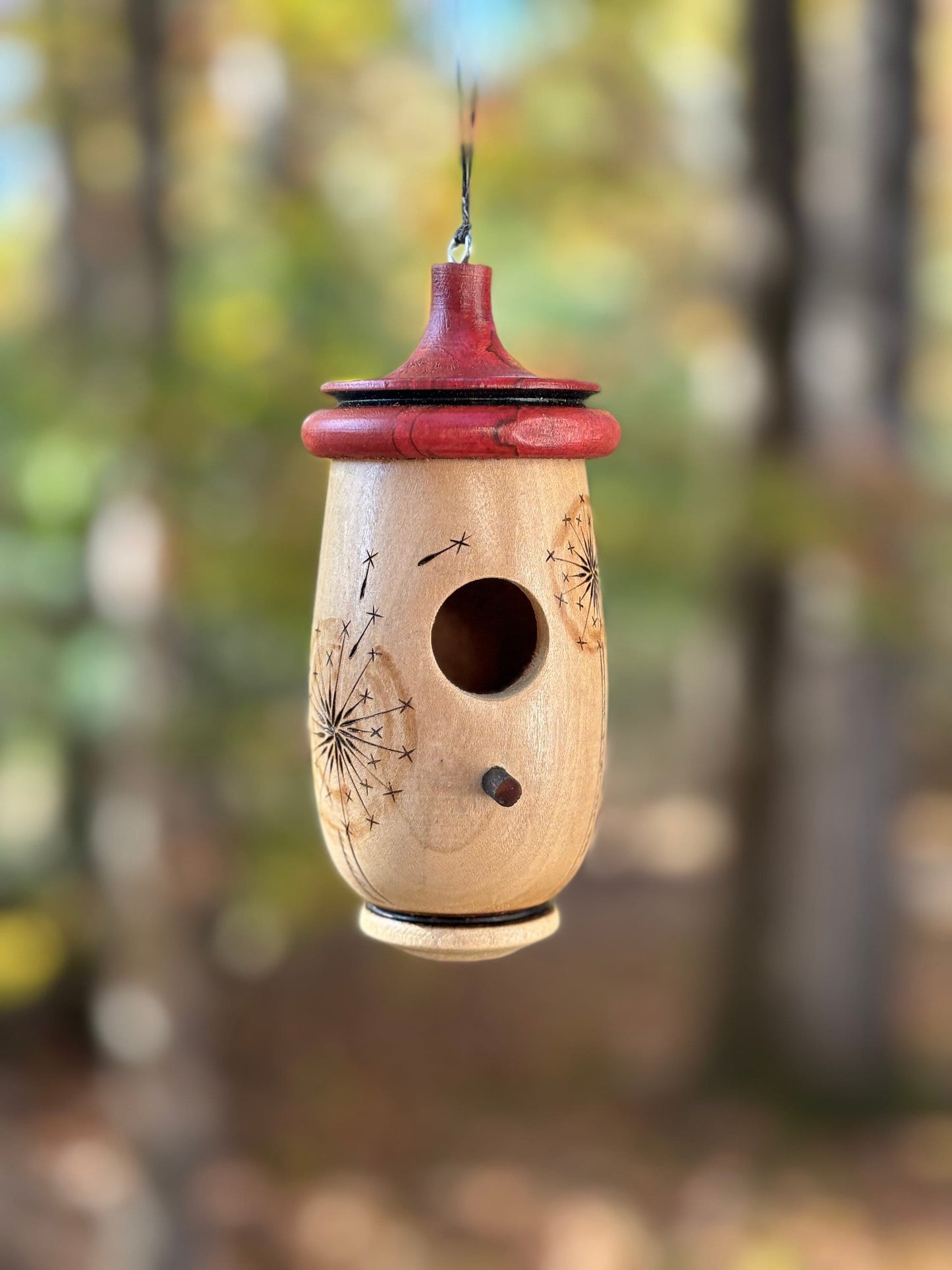 Dandilion Design, Handmade Wooden Hummingbird House,  Pyrography Art