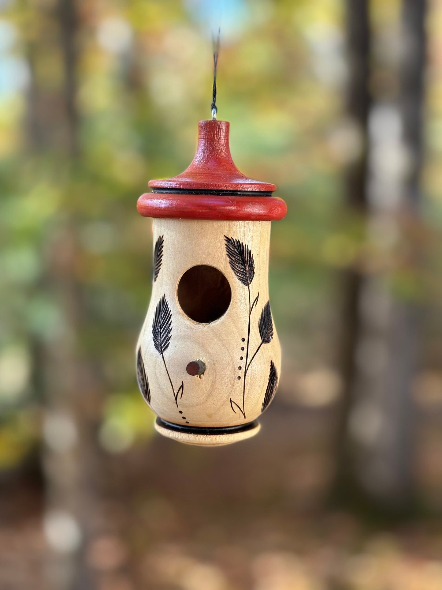 Hummingbird House, Leaves and Grass Art, Handmade Wooden Birdhouse for Indoor/Outdoor Use,  Bird Lovers Gift