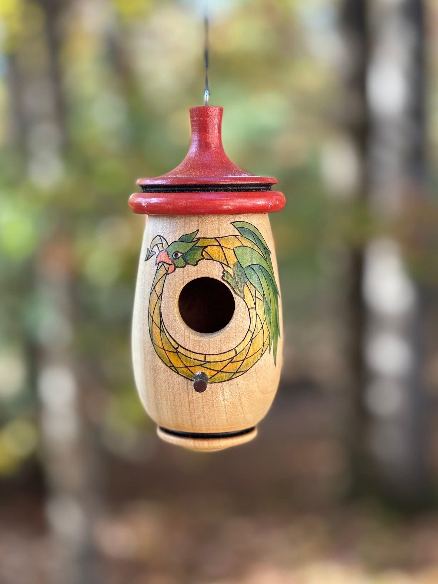 Handmade Cherry Wood Hummingbird Birdhouse: Dragon Ouroboros Art