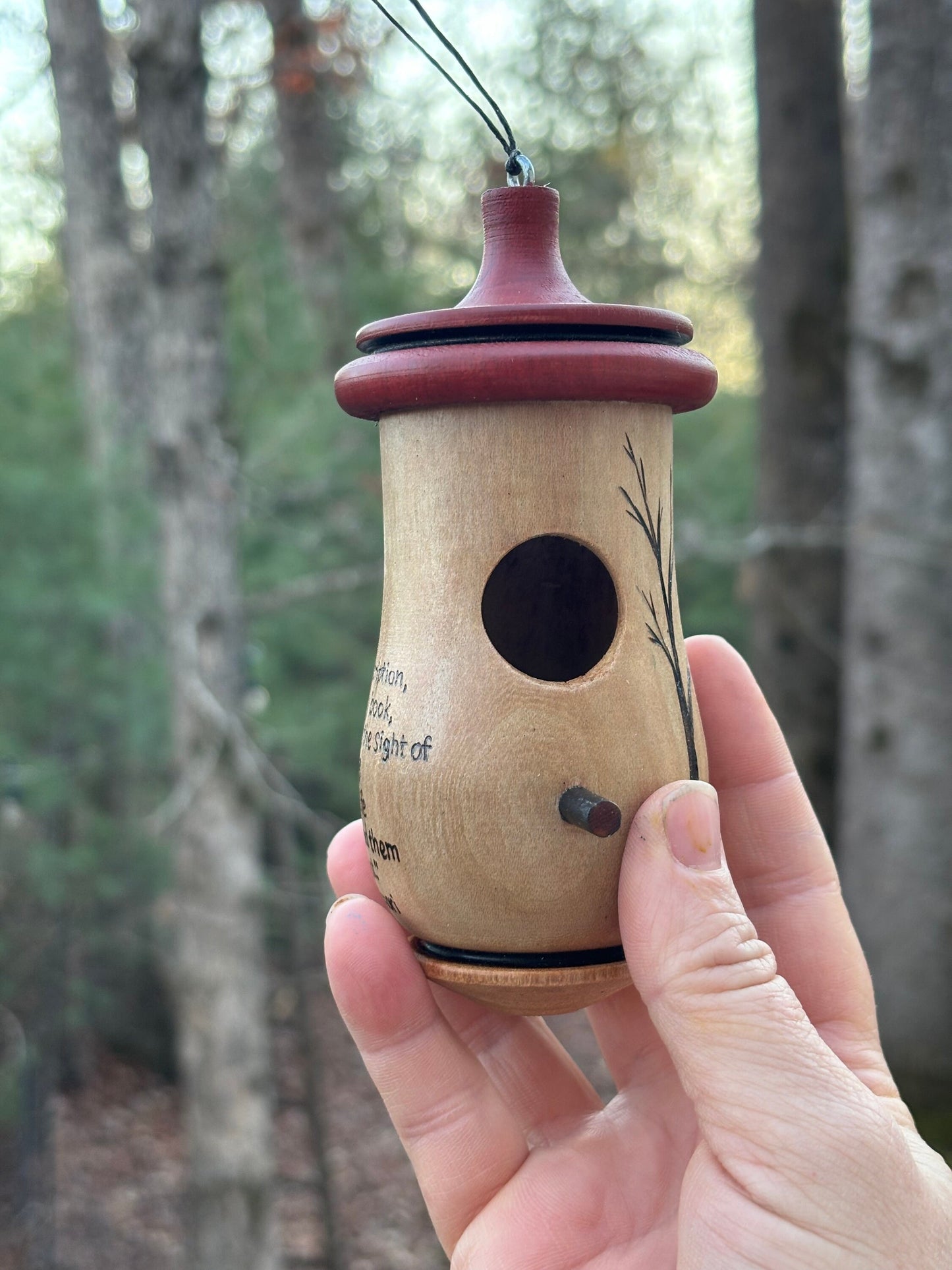 Handmade Wood Hummingbird House, Pyrography Tree Art, Montessori Quote