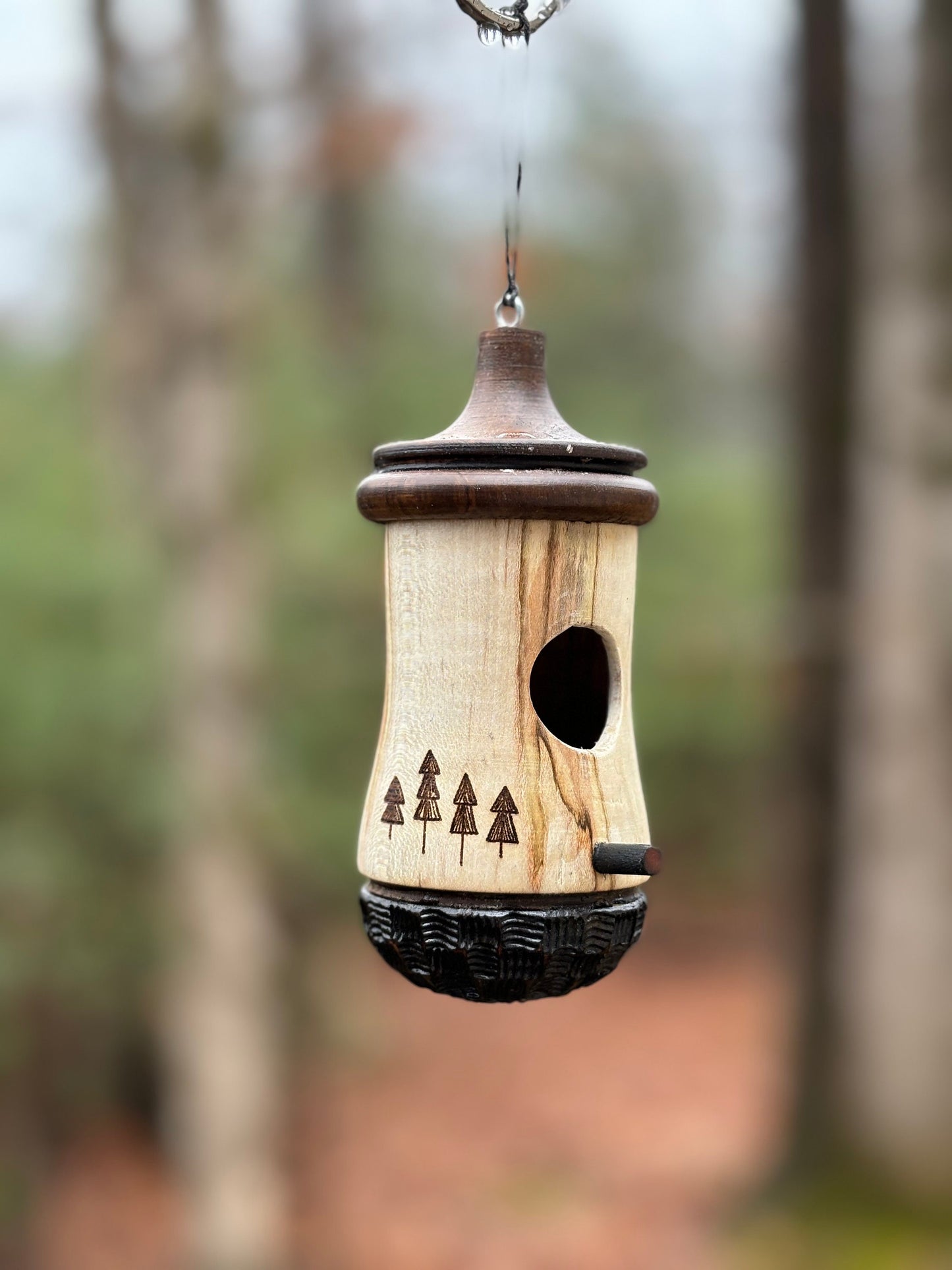 Handmade Ambrosia Maple Hummingbird House: Rustic Four Trees Design