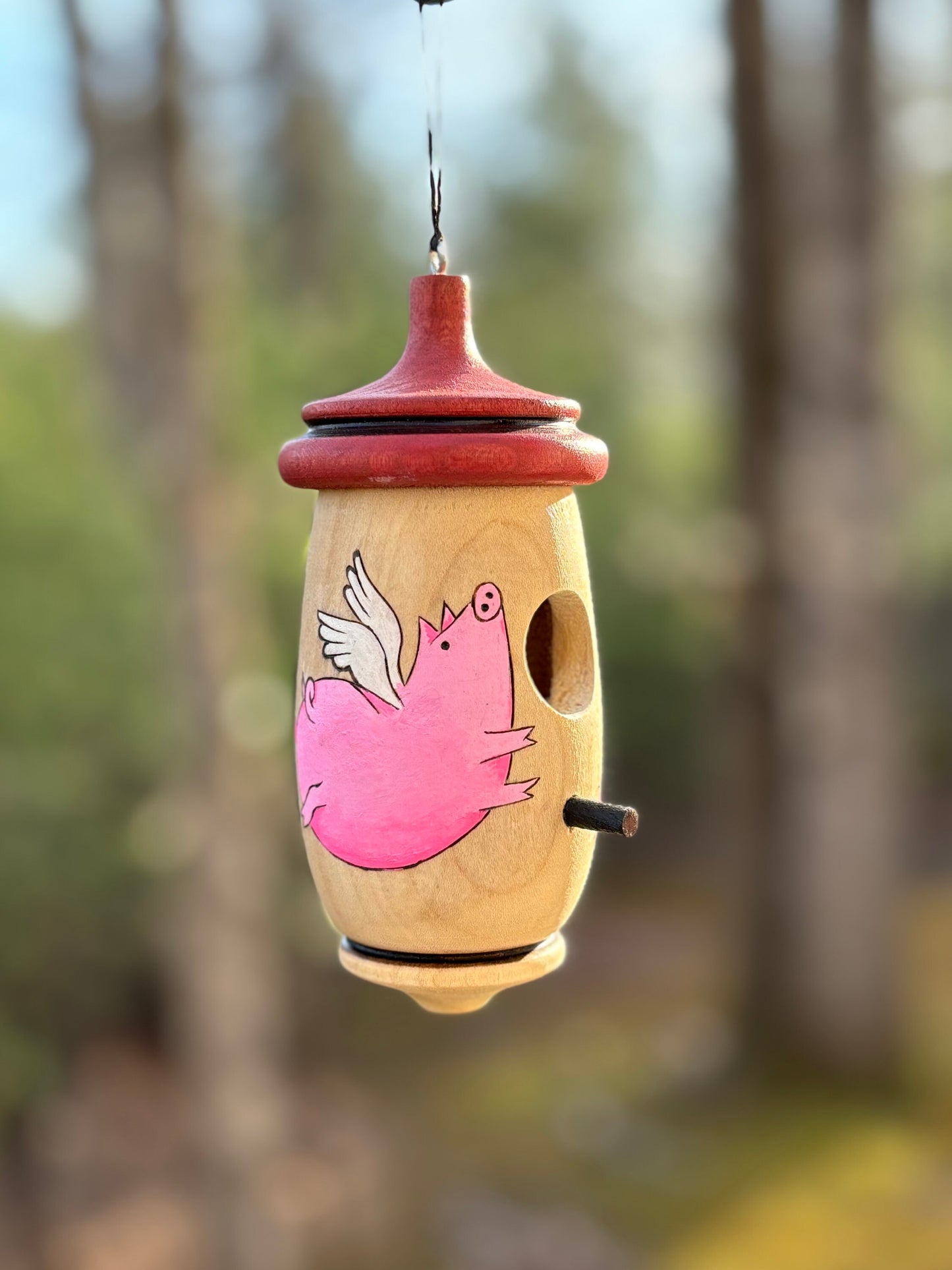 Handmade Cherry Wood Hummingbird House: Flying Pig Art
