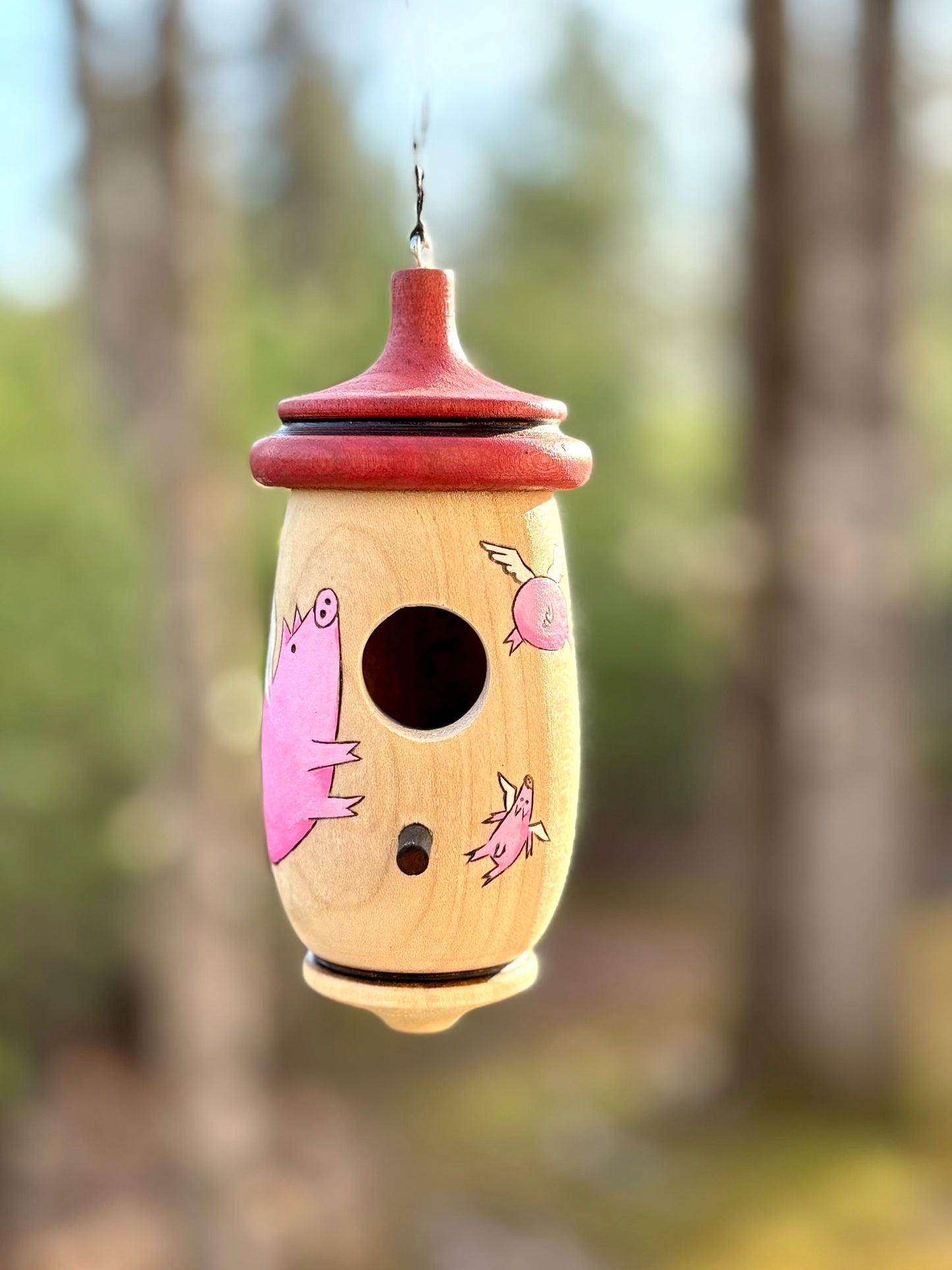 Handmade Cherry Wood Hummingbird House: Flying Pig Art