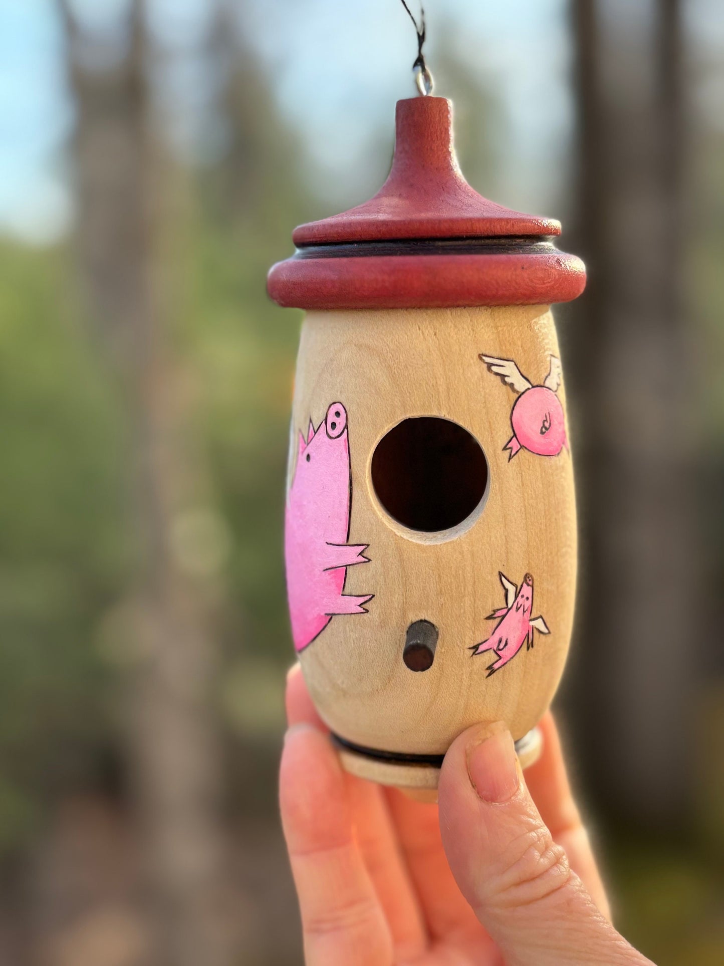 Handmade Cherry Wood Hummingbird House: Flying Pig Art