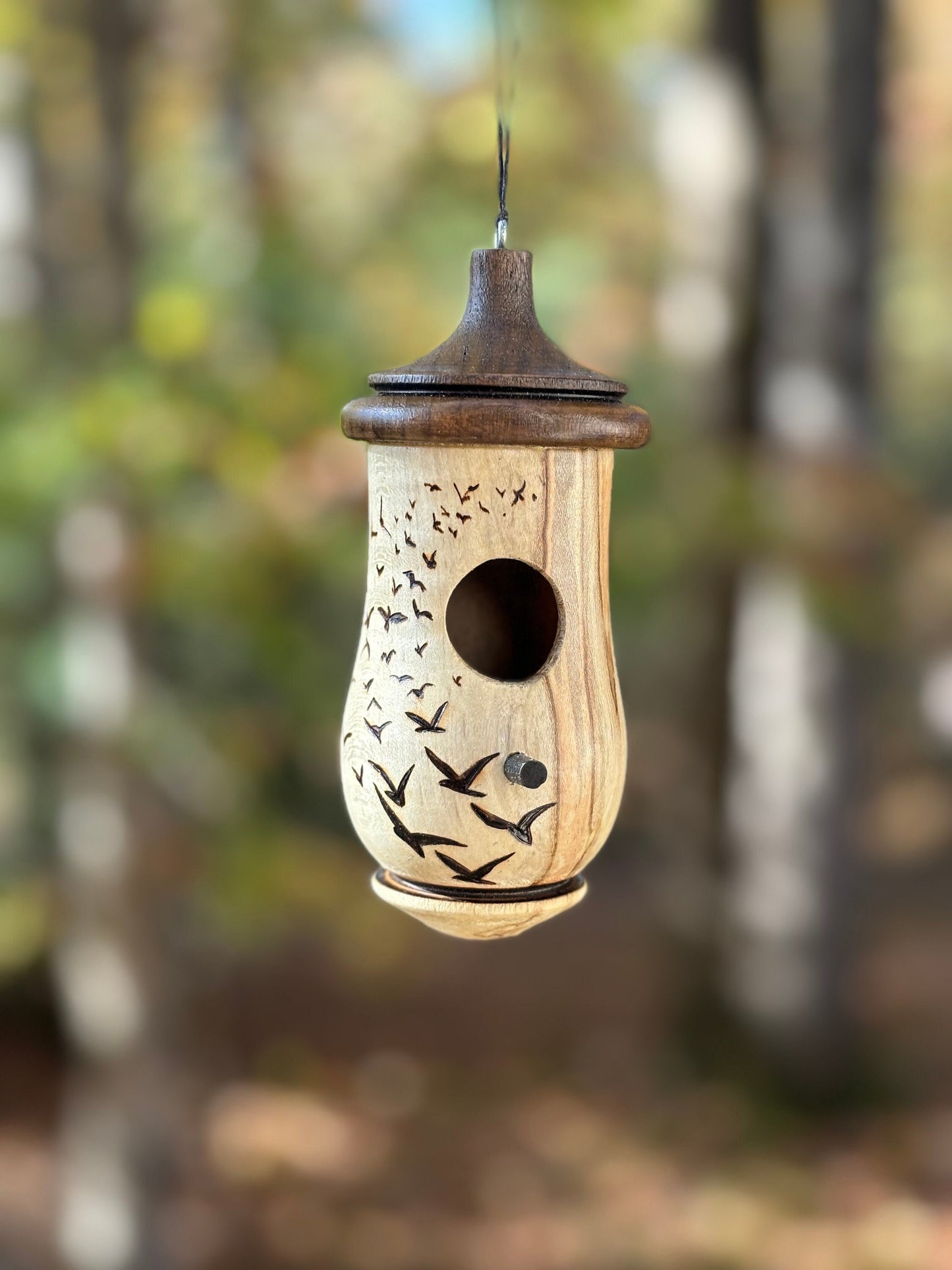 Handmade Cherry Wood Hummingbird House with Wood Burned Bird Art