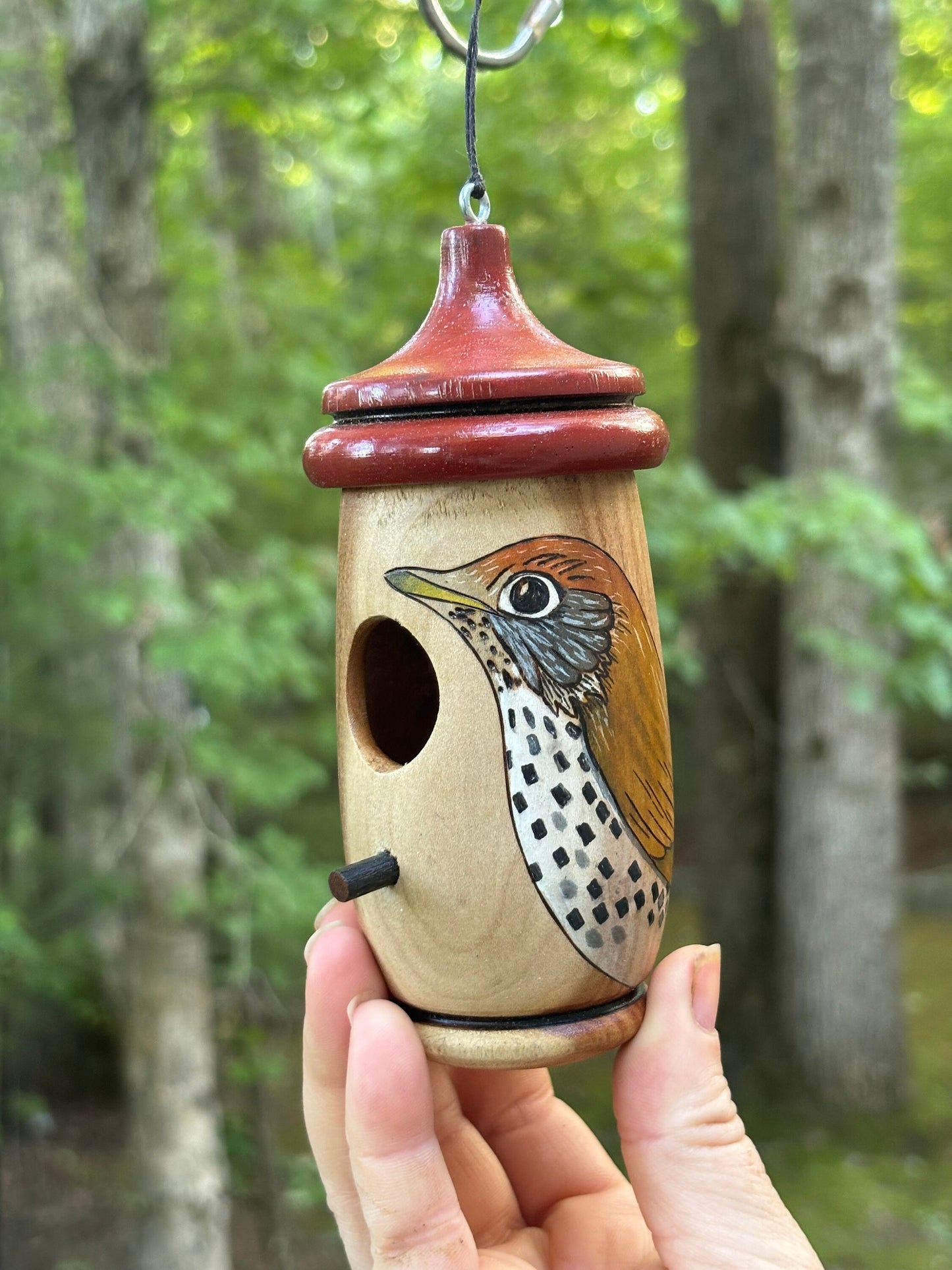 Handmade Wood Thrush Hummingbird Birdhouse: Wood-Burned Cherry Wood Nester