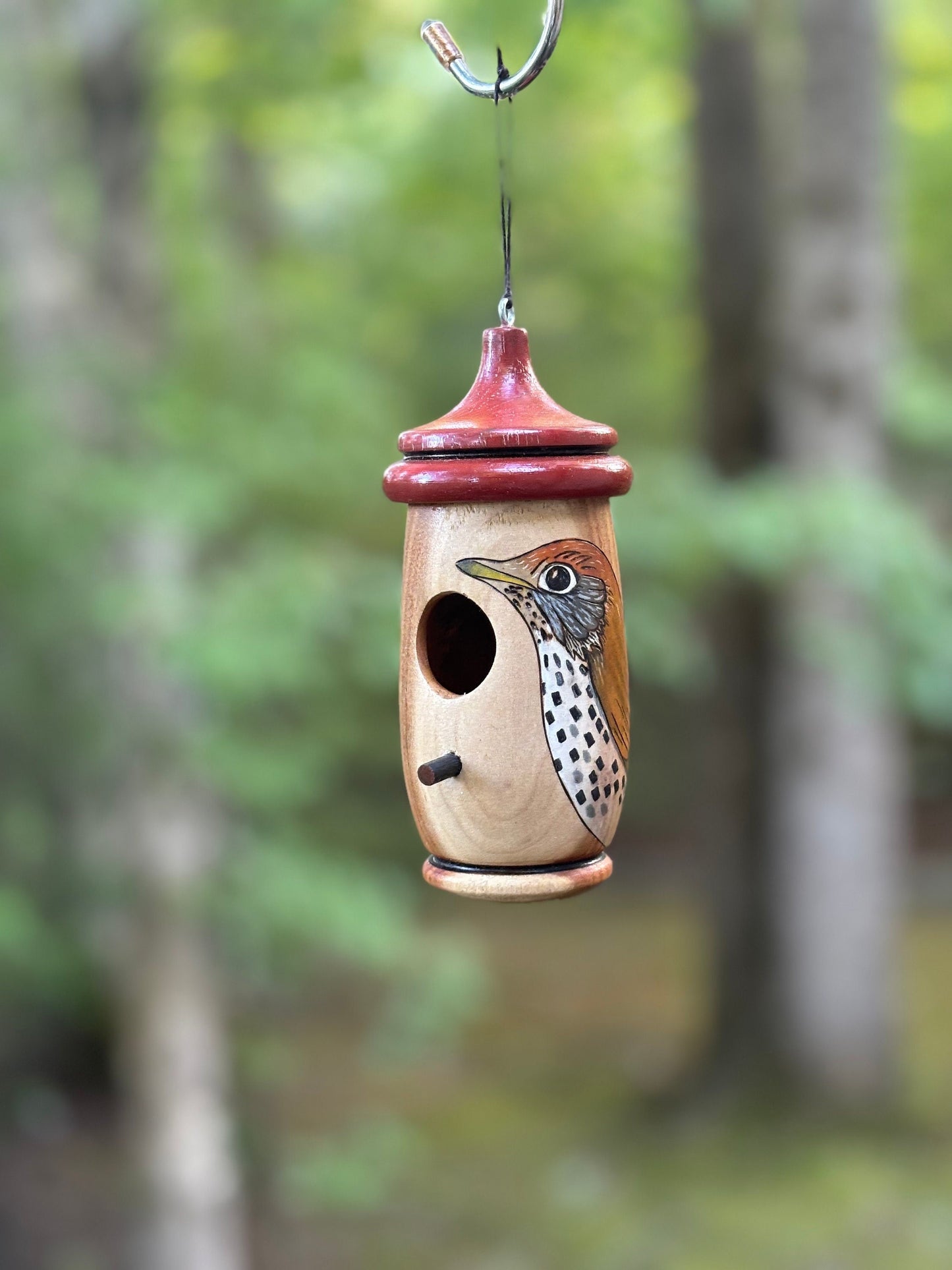 Handmade Wood Thrush Hummingbird Birdhouse: Wood-Burned Cherry Wood Nester