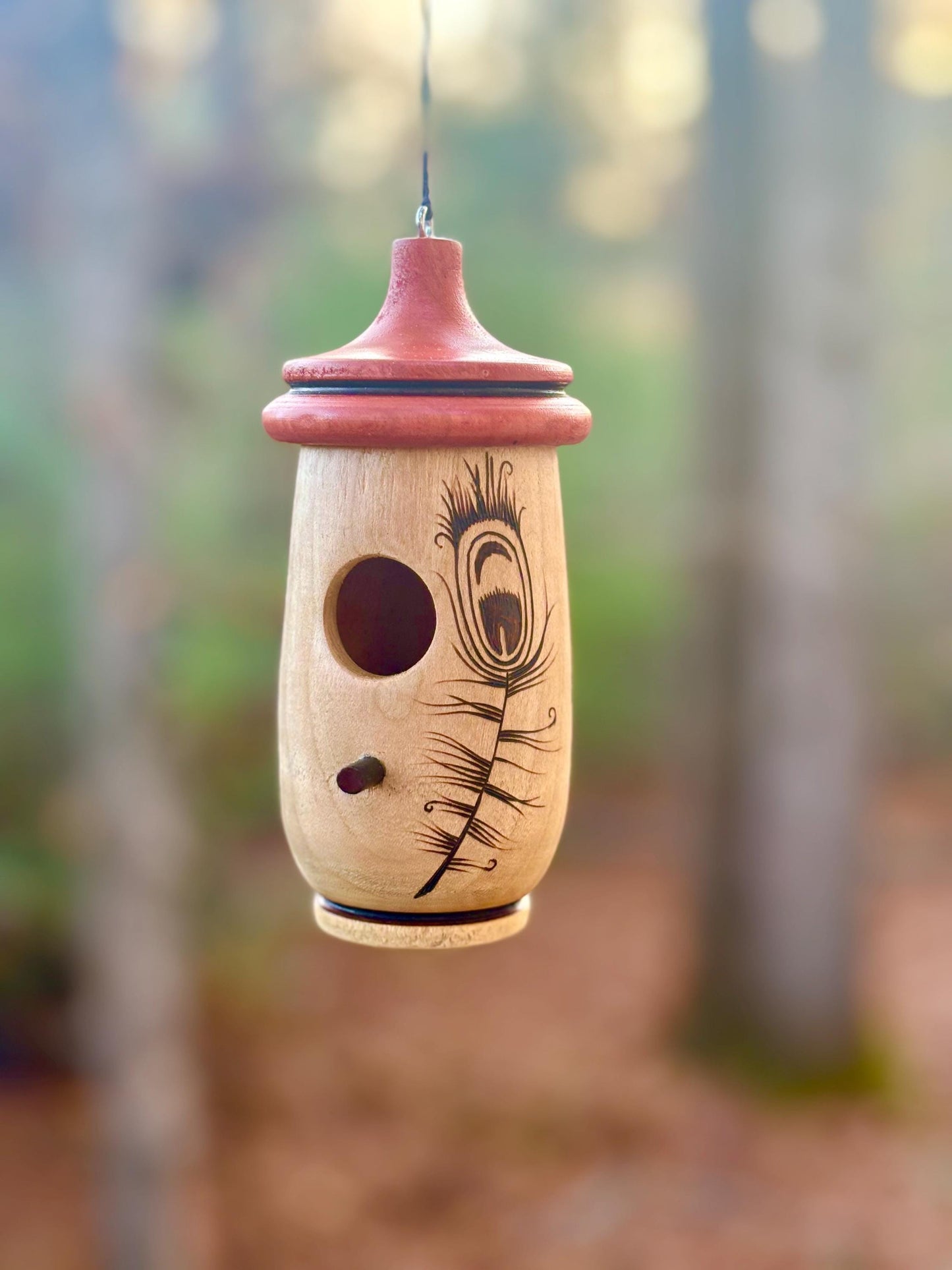 Hummingbird House, Handmade Wooden Birdhouse for Indoor/Outdoor Use, Peacock Art, Bird Lovers Gift, Christmas Gift for Teacher