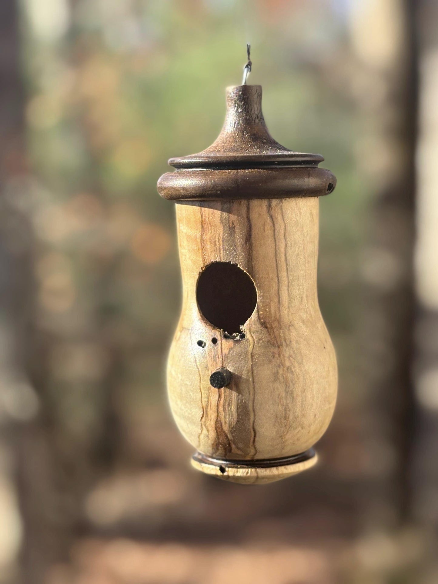 Ambrosia Maple Hummingbird Birdhouse, One of a Kind Gift for bird Lovers, Rustic Indoor/Outdoor Garden Decor