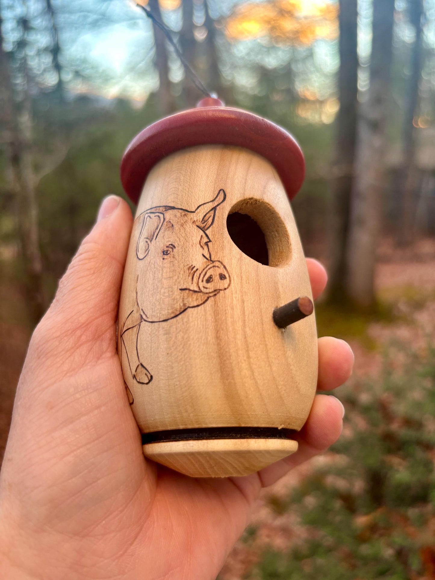 Handmade Cherry Wood Hummingbird House: Pig Farmer Art, gift for Farmhouse