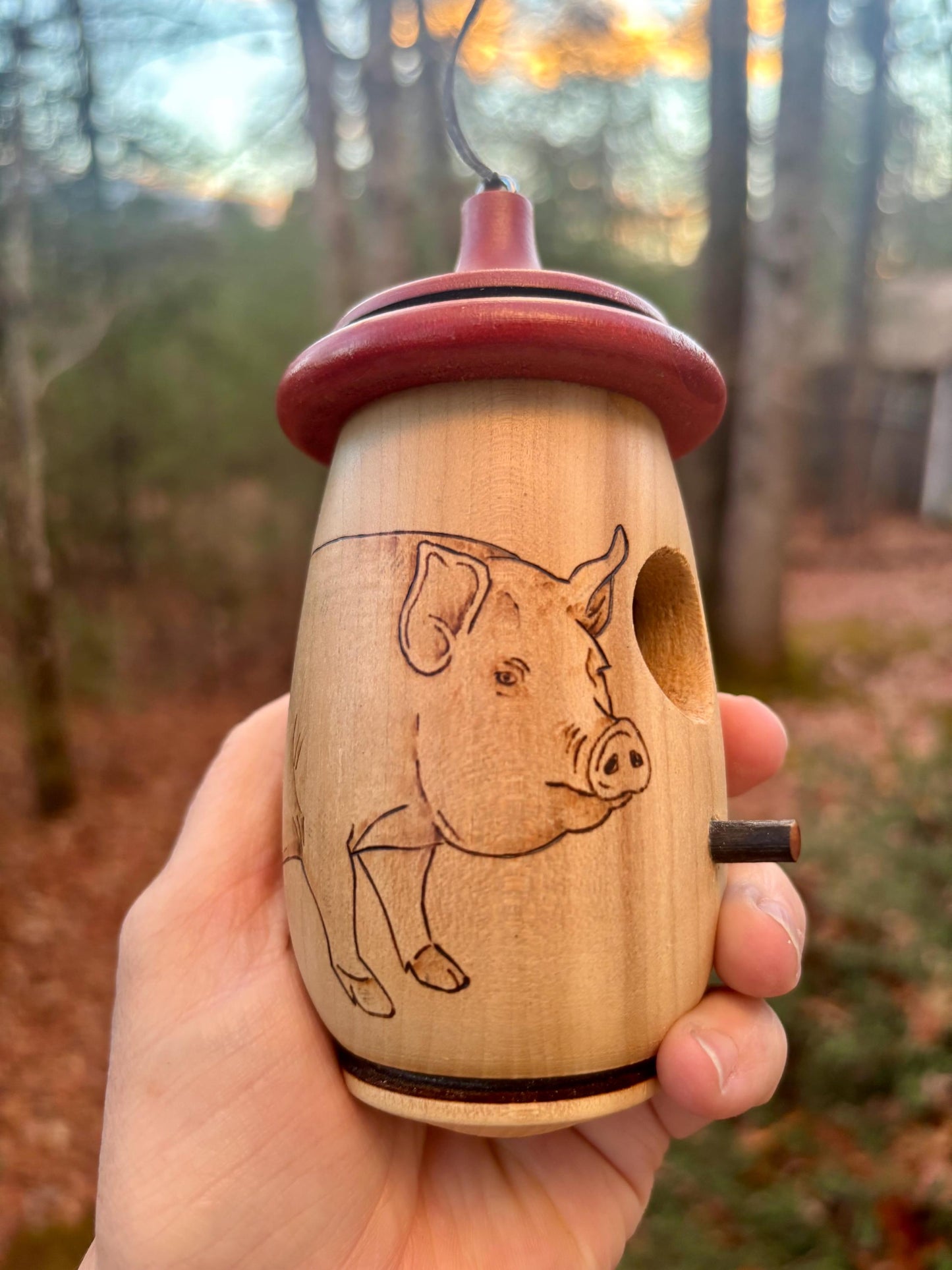 Handmade Cherry Wood Hummingbird House: Pig Farmer Art, gift for Farmhouse