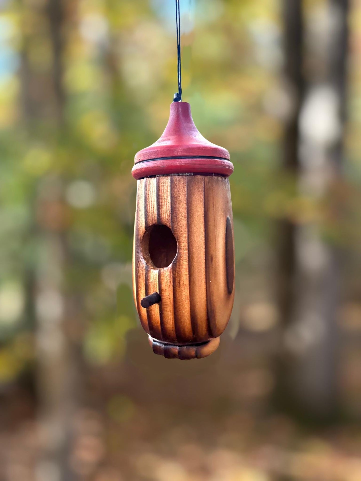 Shou Sugi Ban style Handmade Hummingbird Birdhouse for Indoor or Outdoor Use, Garden Art