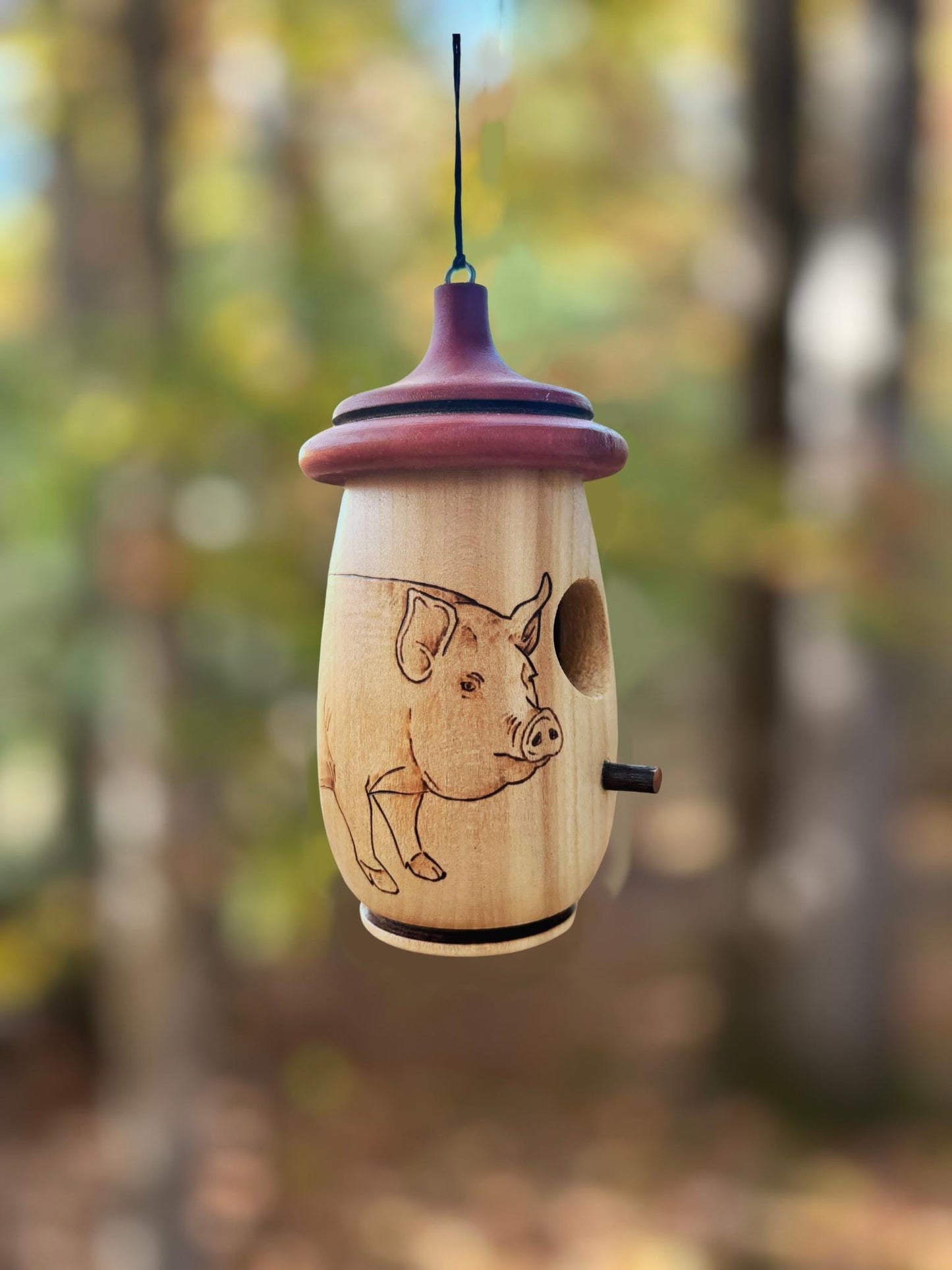 Handmade Cherry Wood Hummingbird House: Pig Farmer Art, gift for Farmhouse