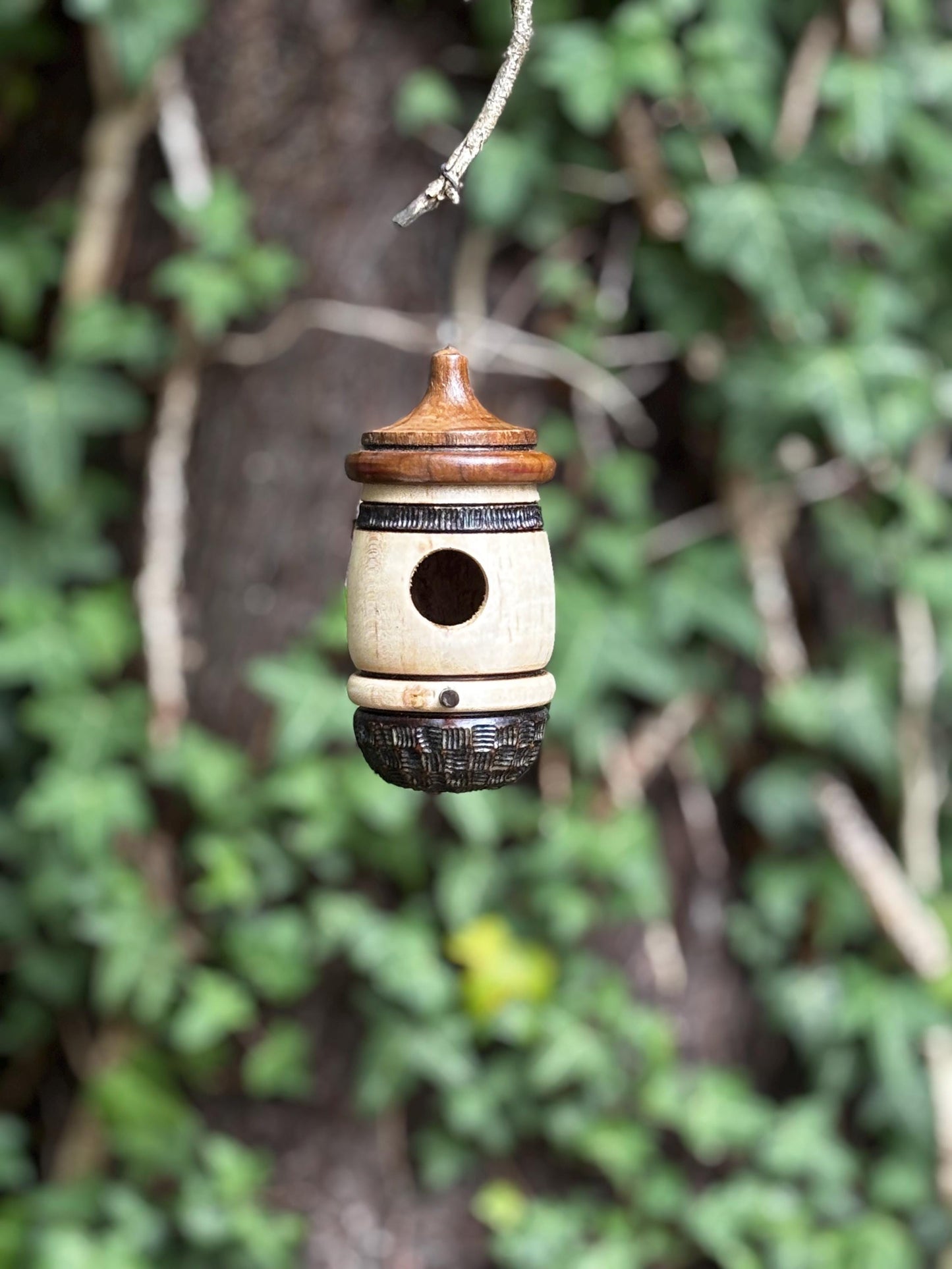Ambrosia Maple OOAK Hummingbird House Natural, one of a kind, gift for Bird Lovers and Gardeners